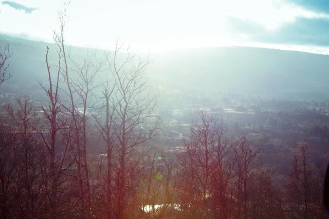 Winter sun burning through haze over a forested valley, bare red-brown trees in the foreground and a town on the floor below.