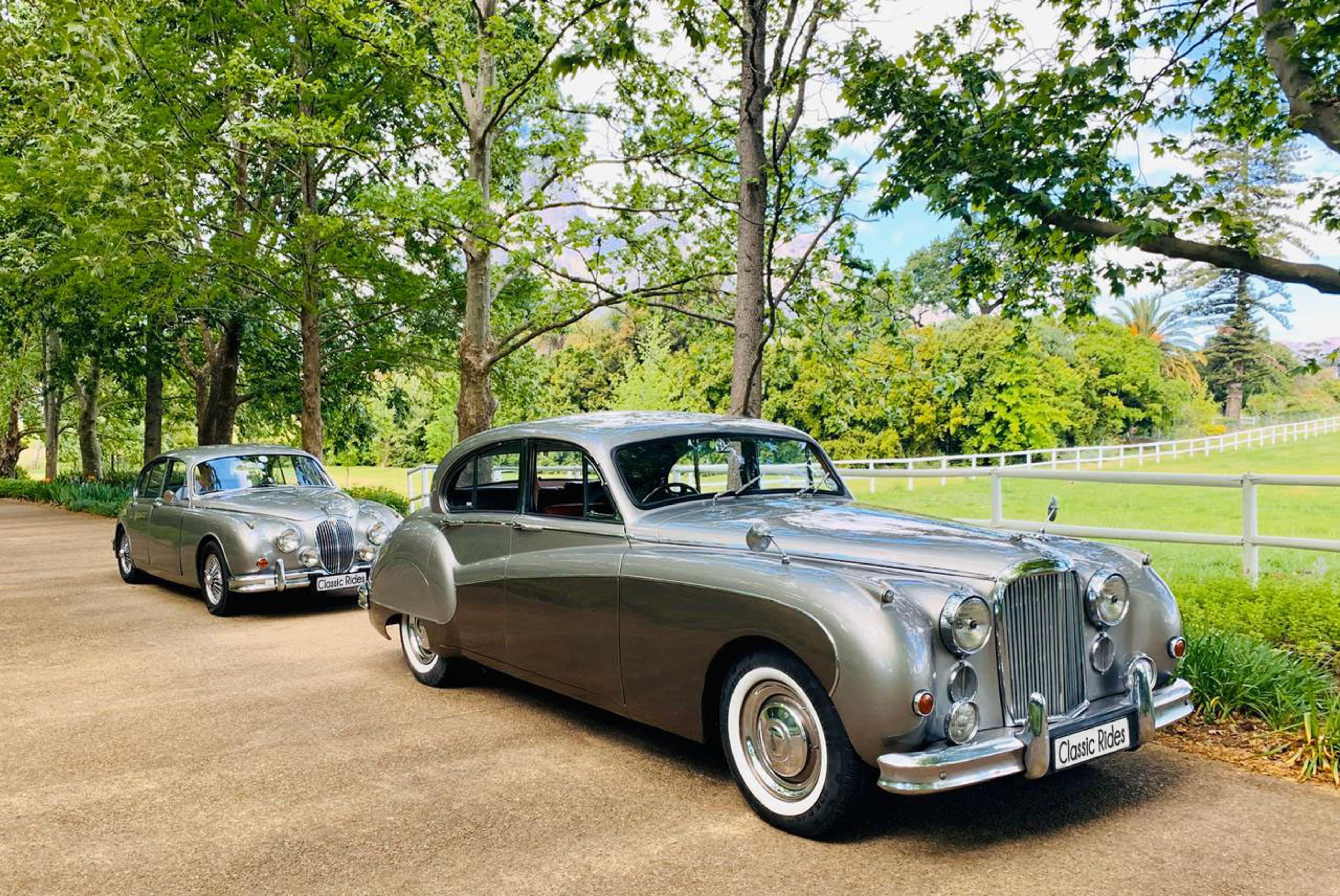 Two_Jags_in_Winelands-classiccars.jpg