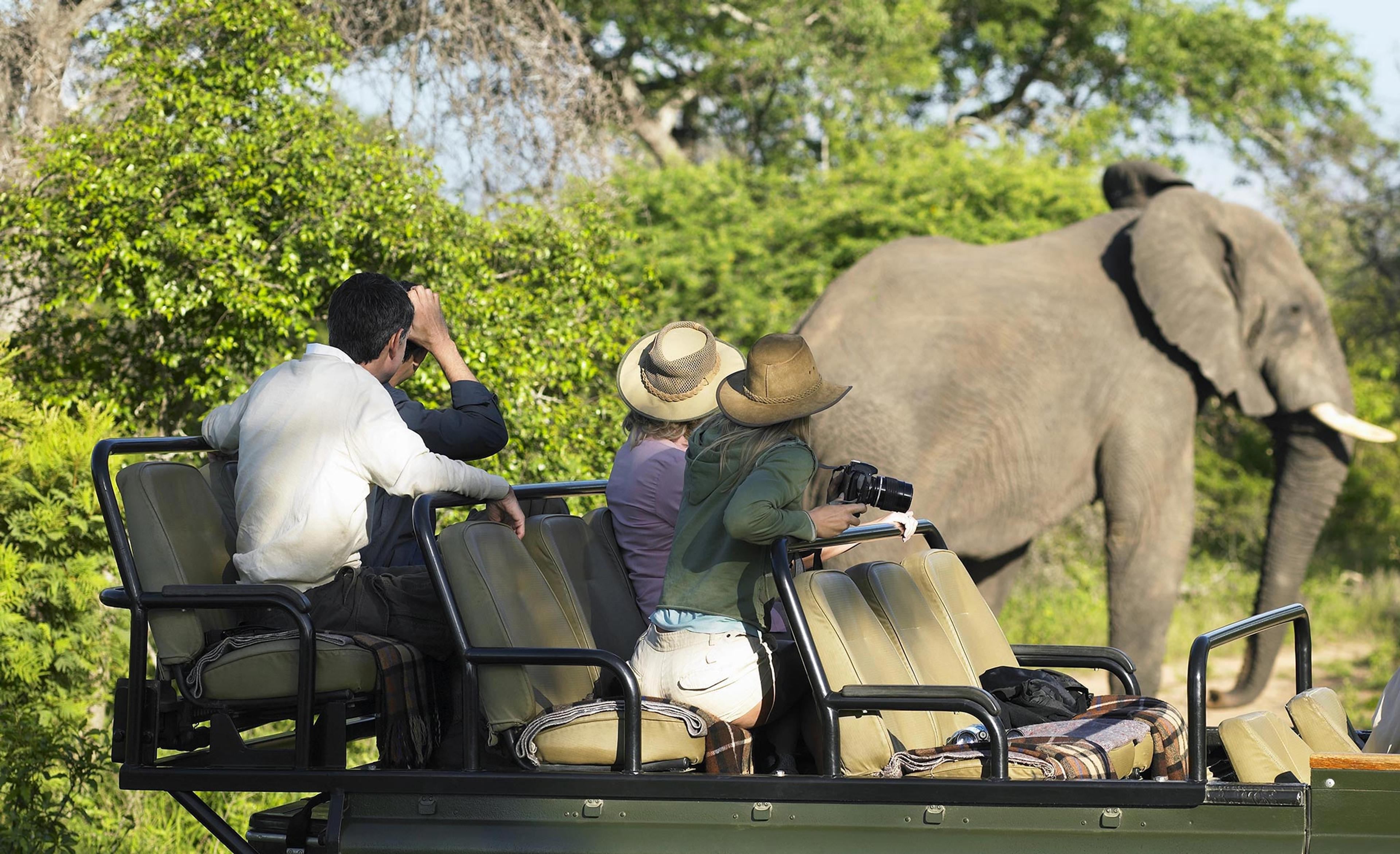 Gay Group Safaris with Friends and Family