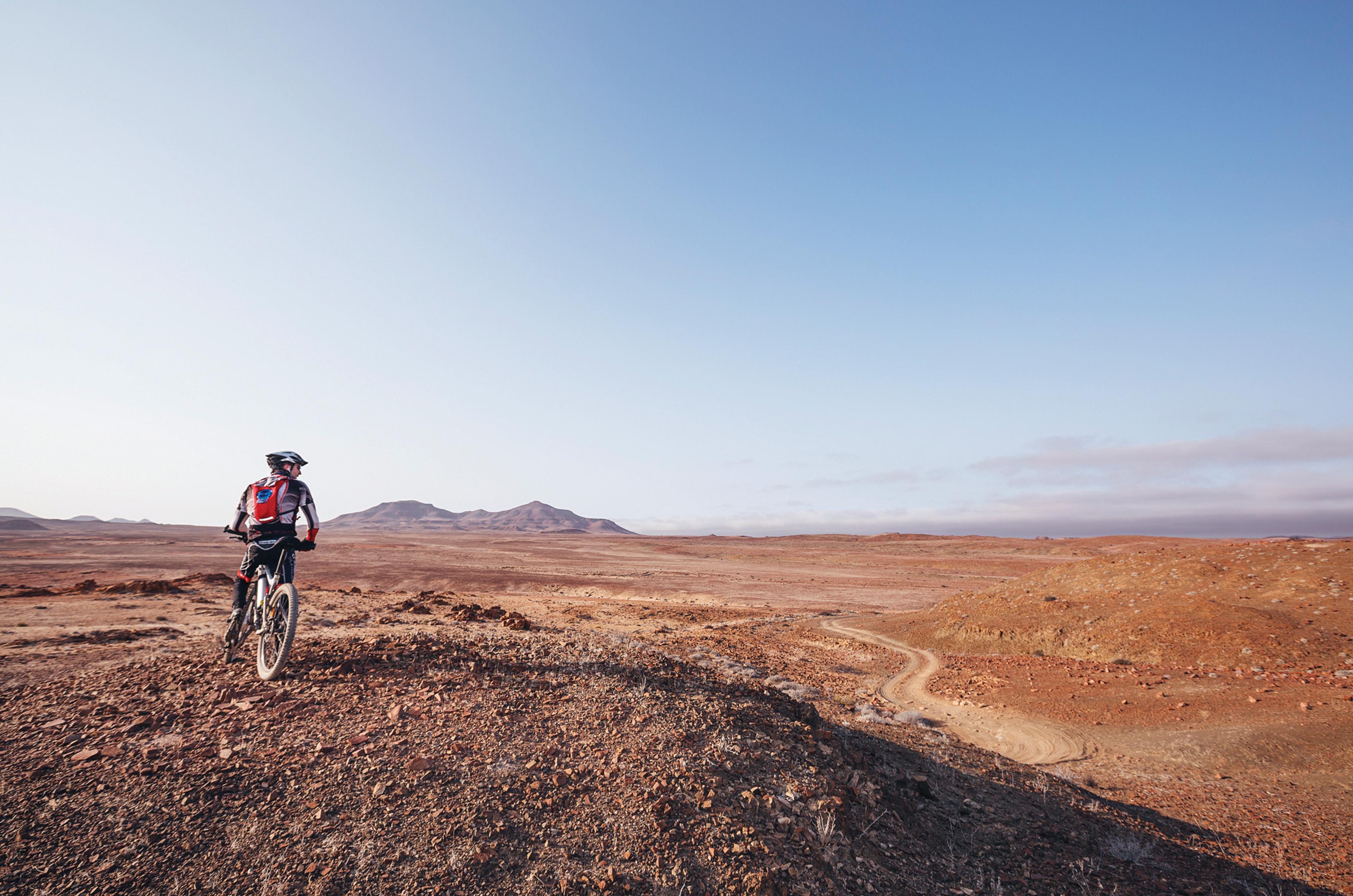 David Viewpoint 2.jpg