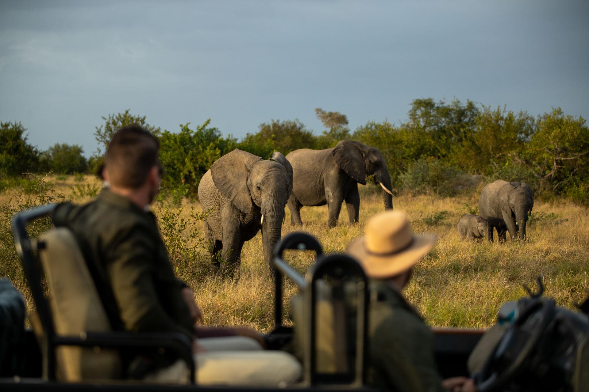 Your Classic African Luxury Safari Bucket List