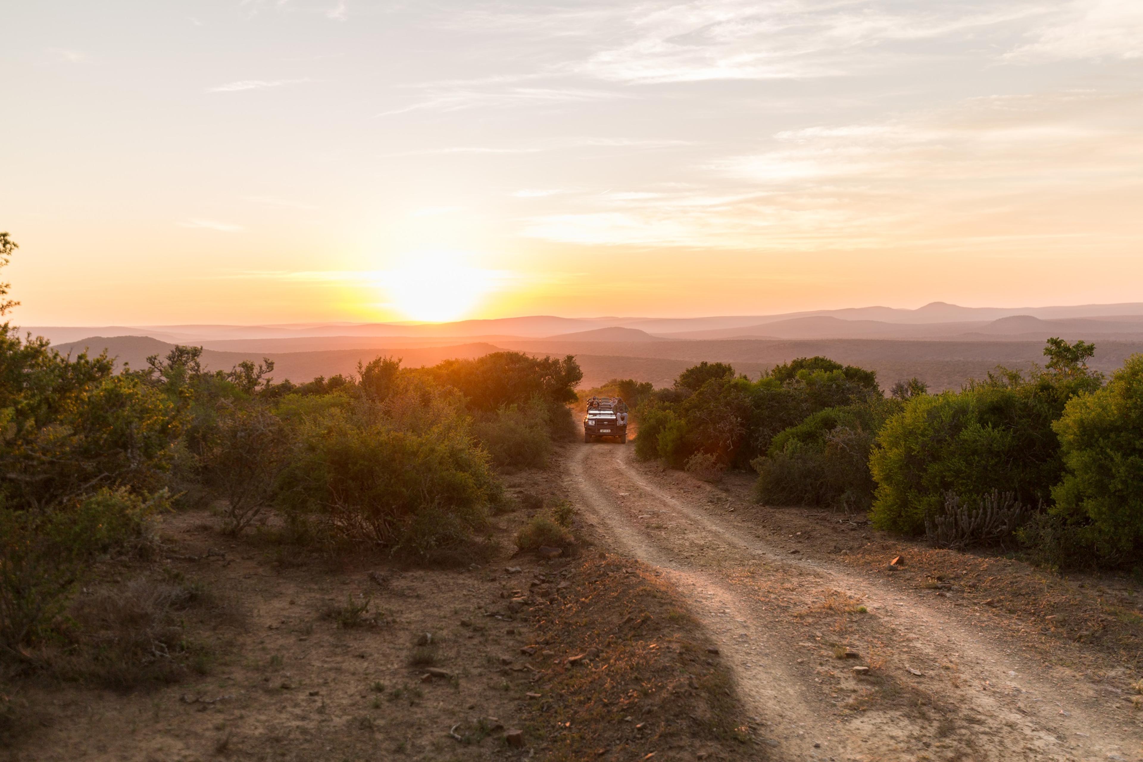 Kwandwe Sunrise Game drive 3.jpg