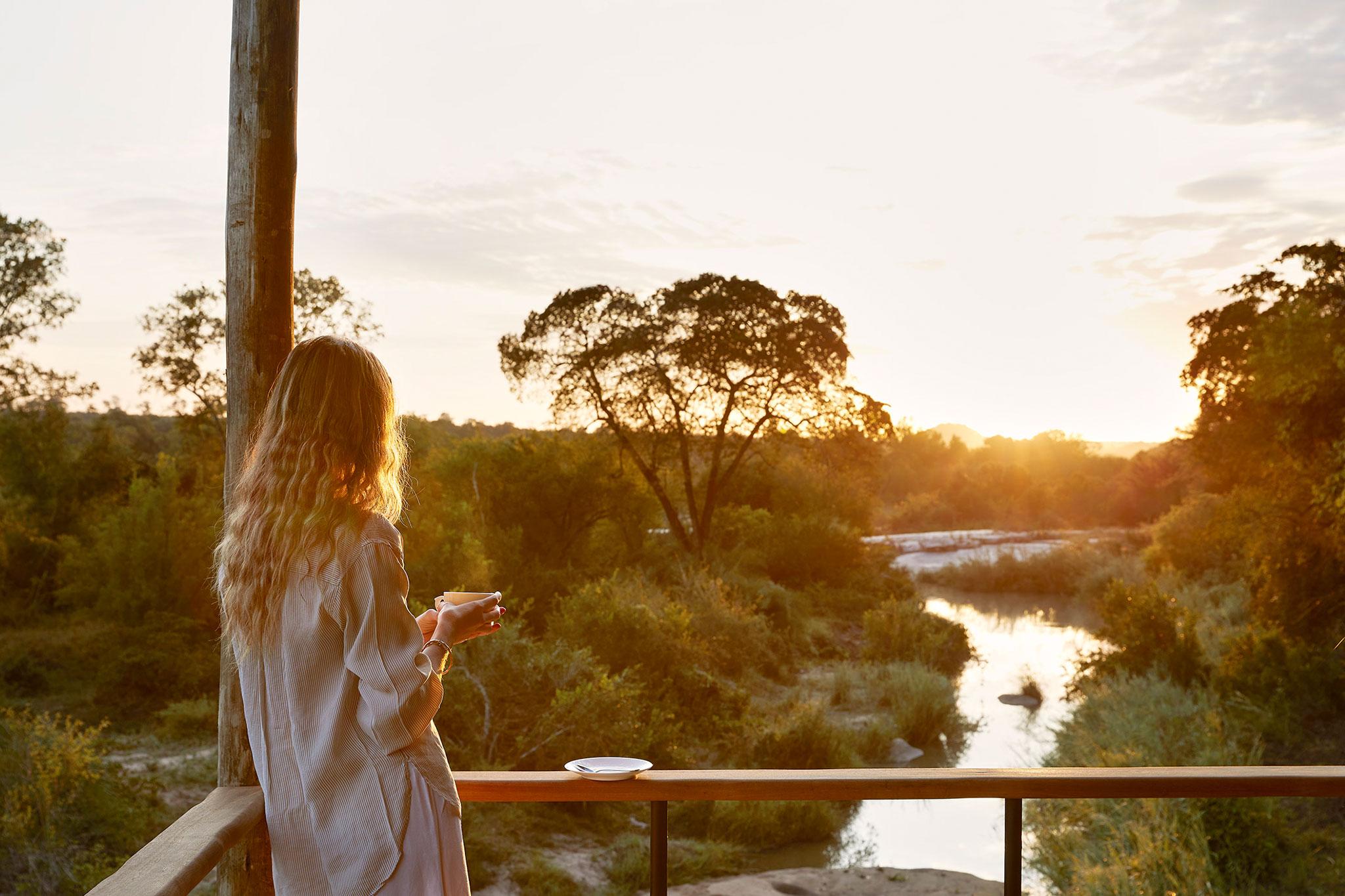 Getting Festive at Londolozi Private Game Reserve