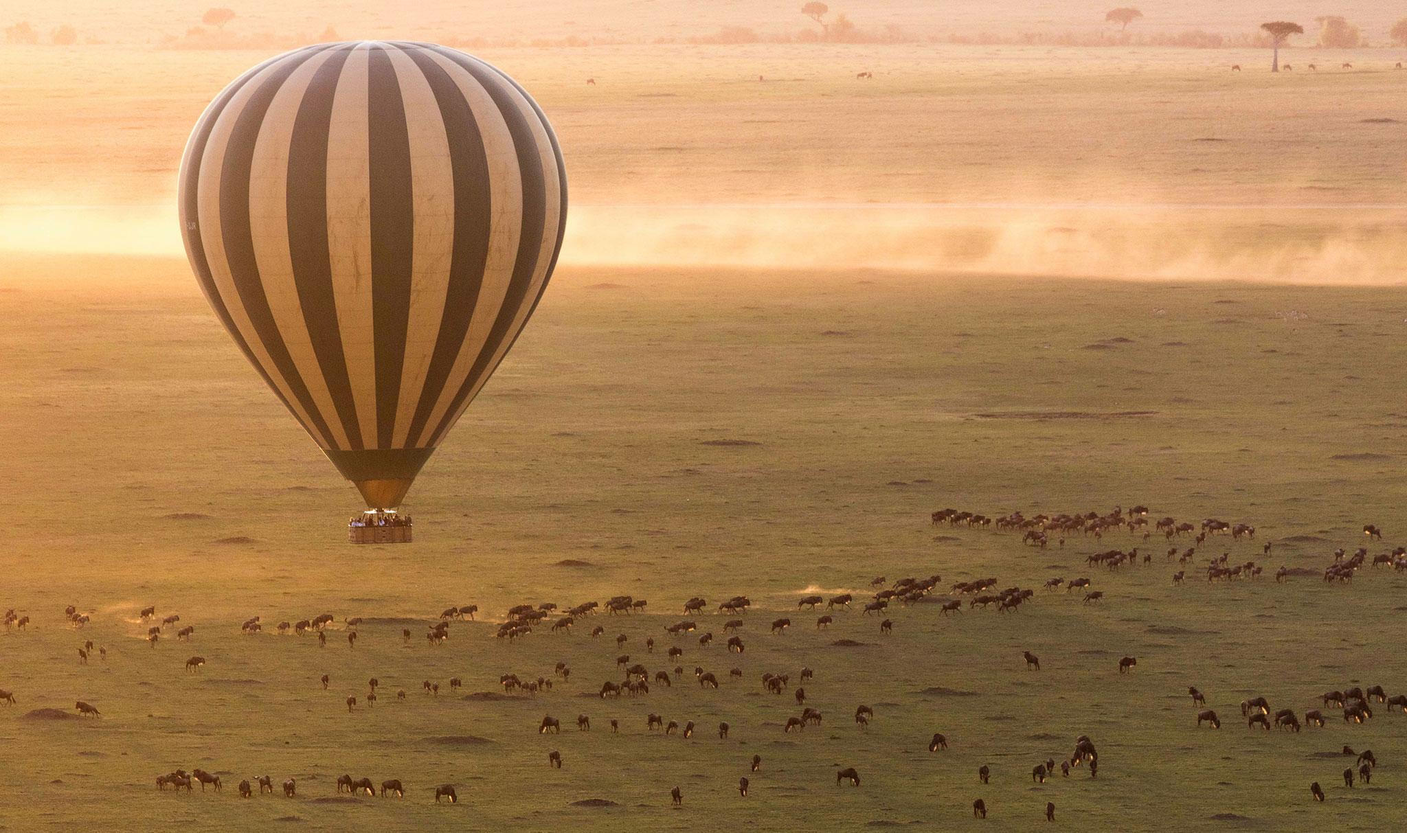 hot air balloon over serengeti