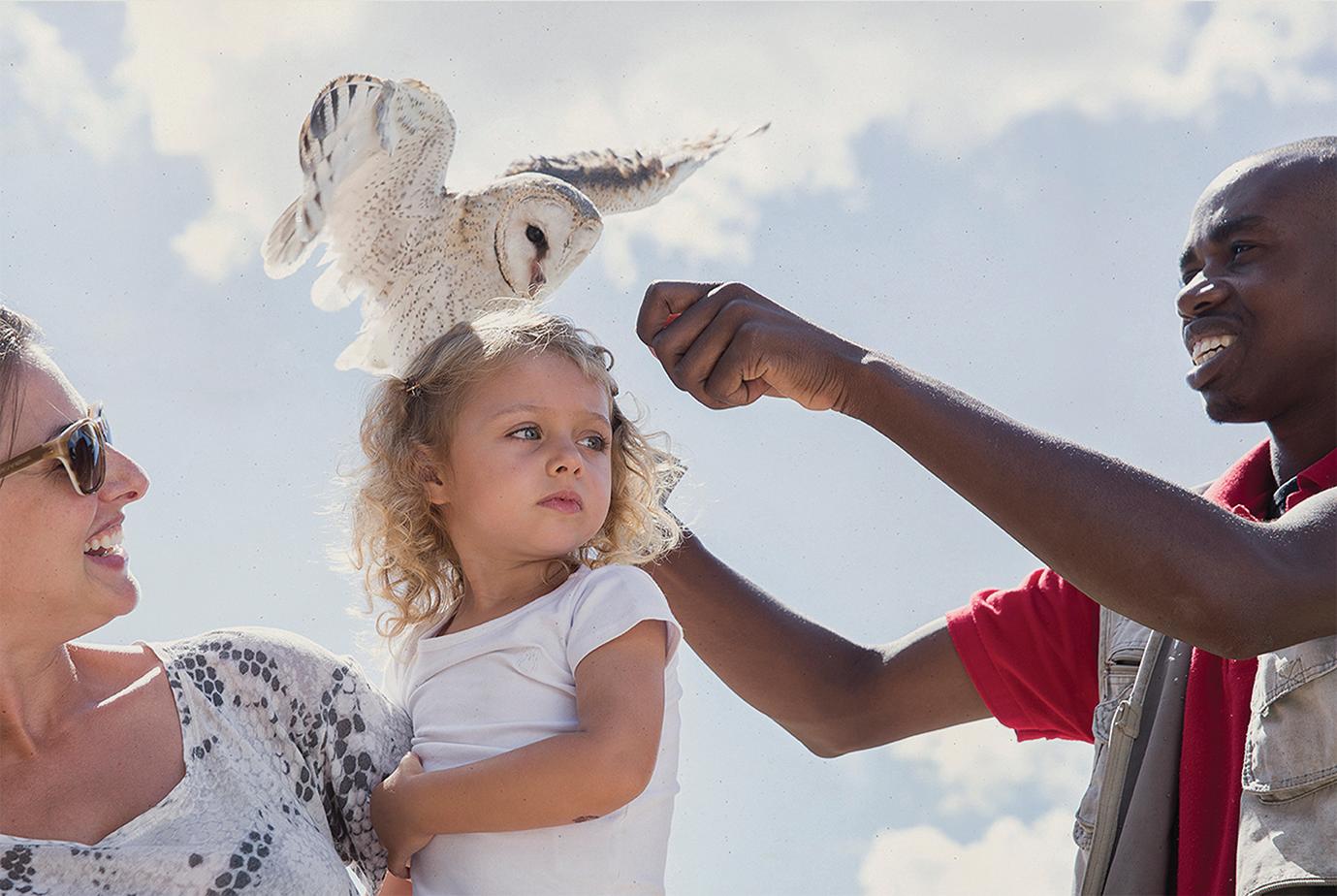 spier-childrens-activities-eagle-encounters-family-with-handler.jpg