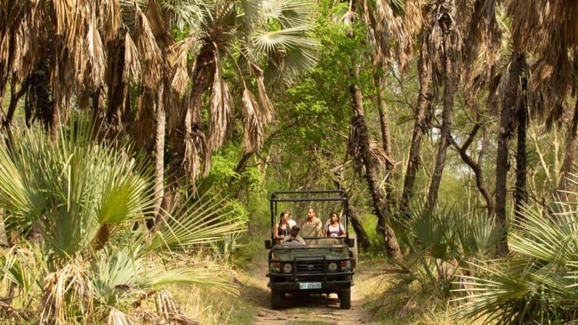 gorongosa chicari game drive.jpeg