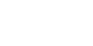 Federal Airlines