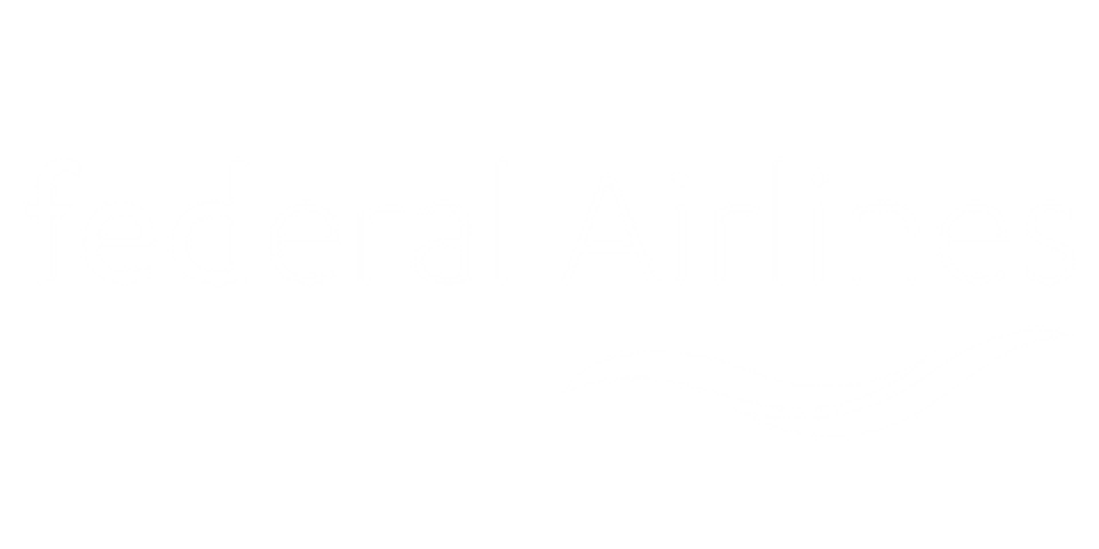 Federal Airlines