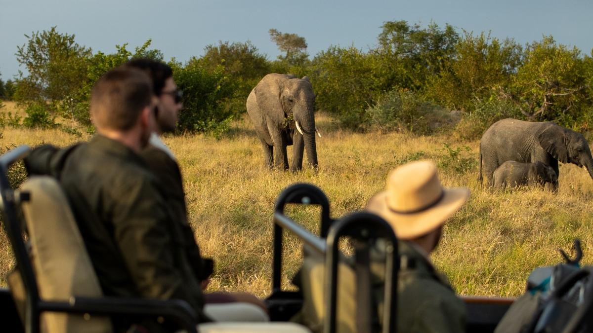 Kruger National Park
