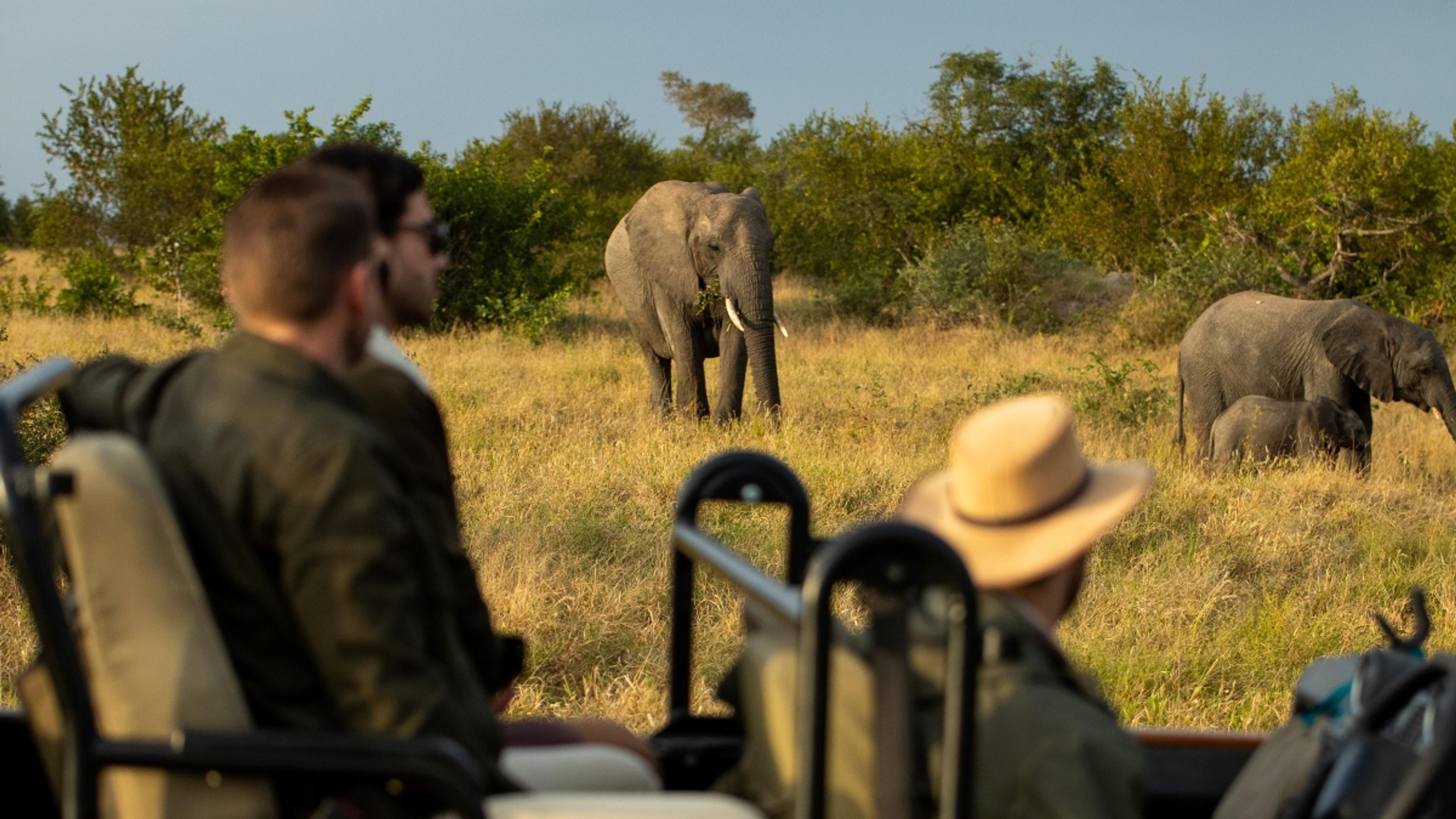 Kruger National Park