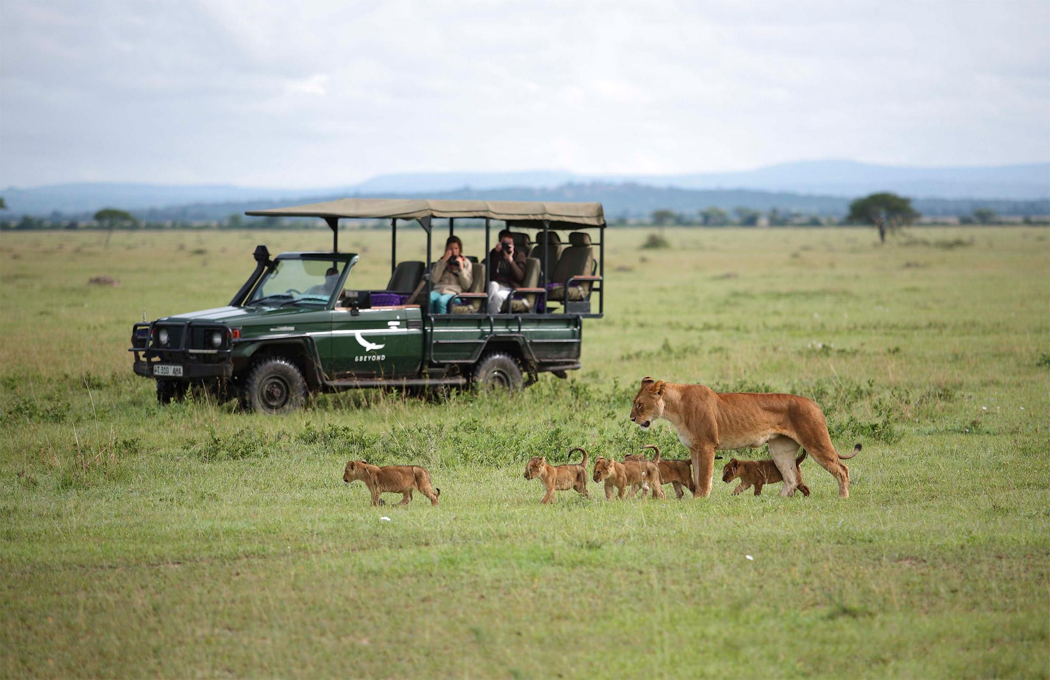 grumeti-serengeti-tented-camp-activities-game-drive-01.jpg