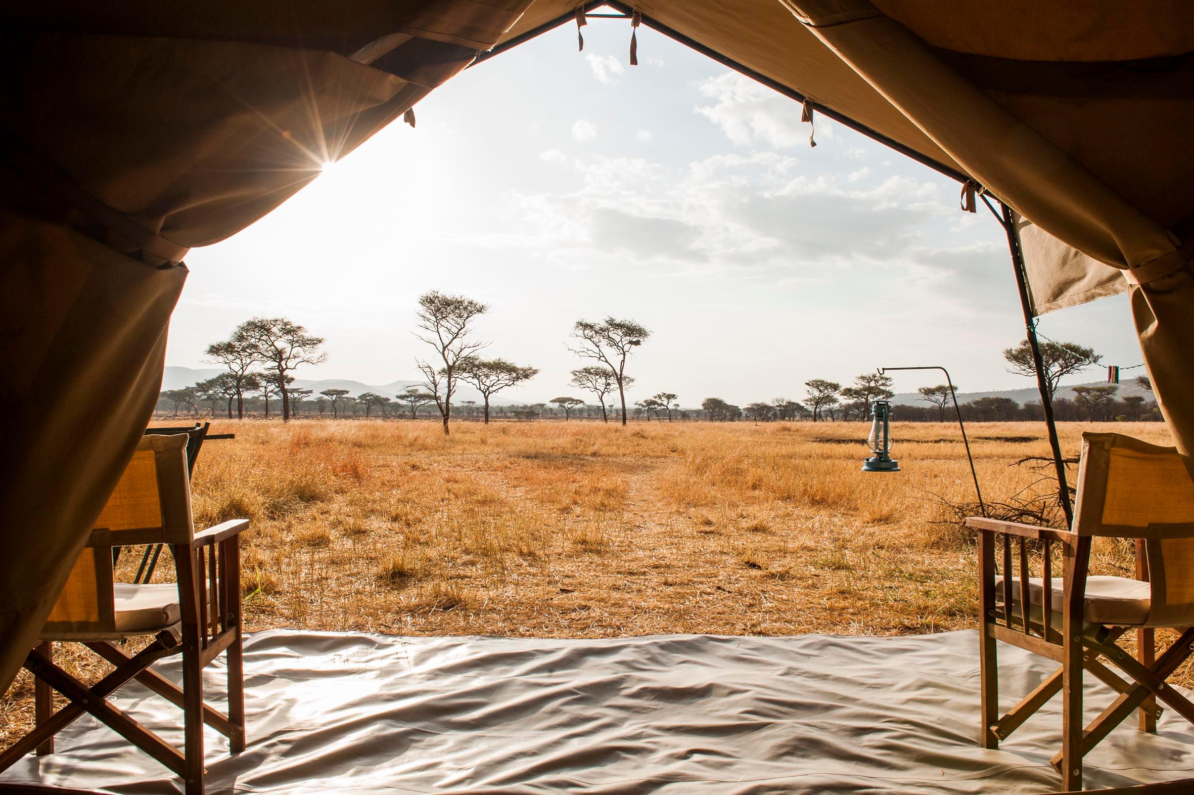 When is the Best Time to Visit the Serengeti?