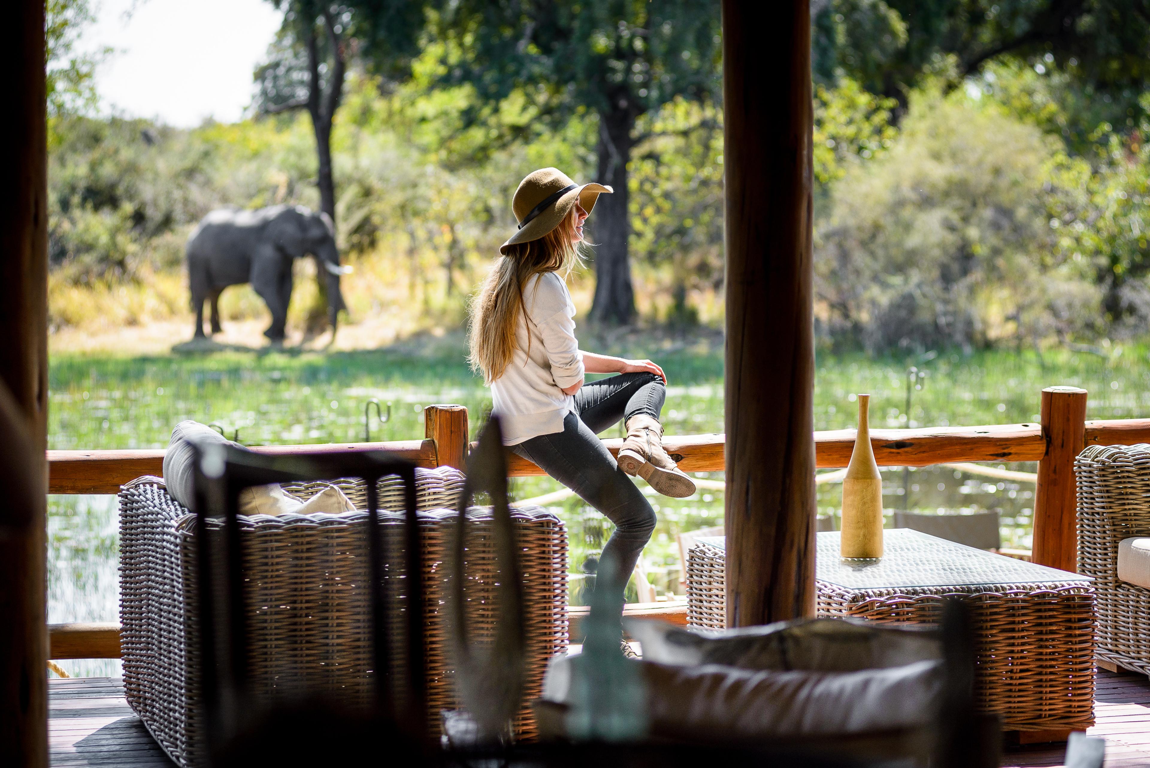Where to Stay for a Fabulous Moremi Game Reserve Safari