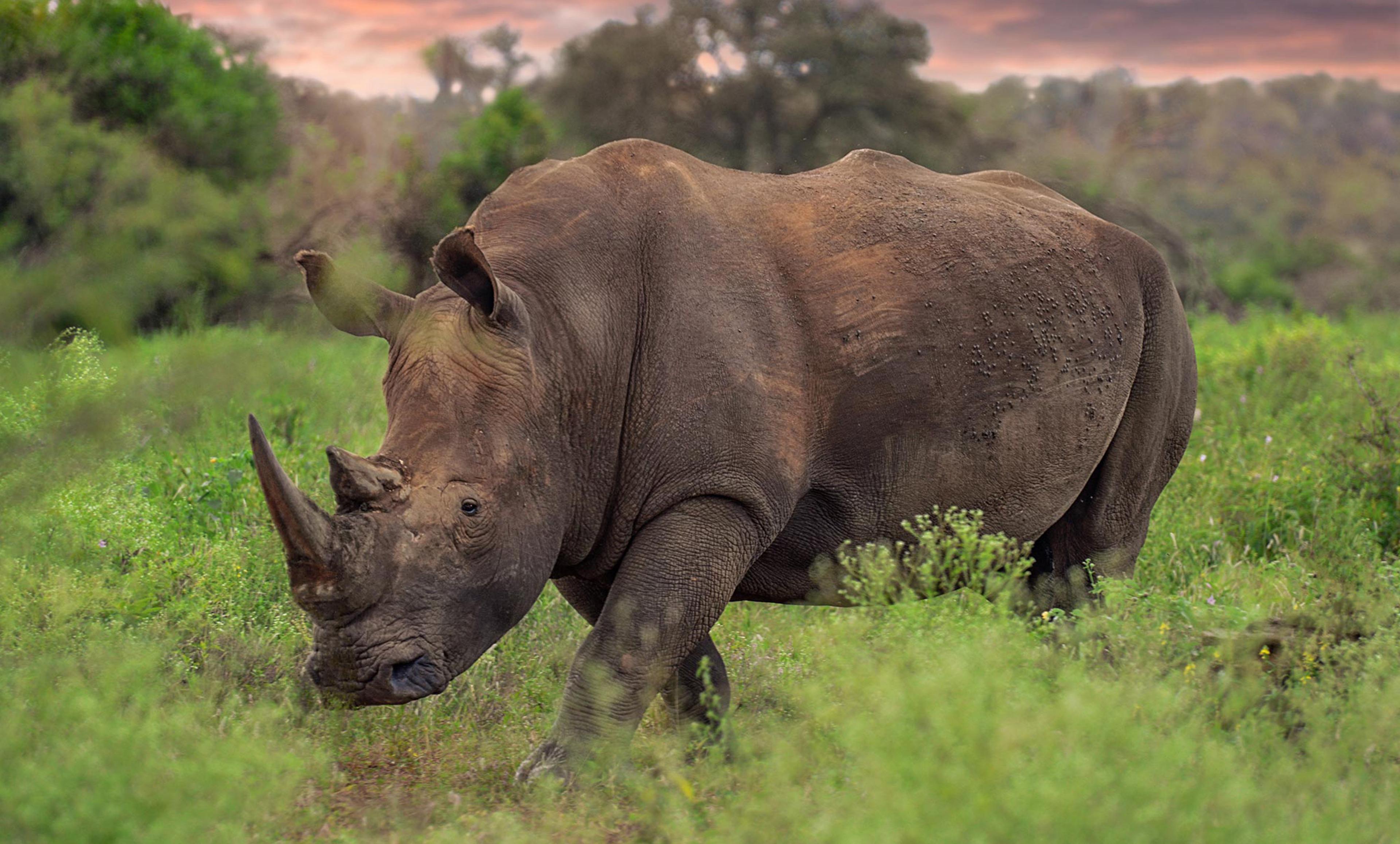 Best of the Best: Cape, Kruger and Mozambique Tour