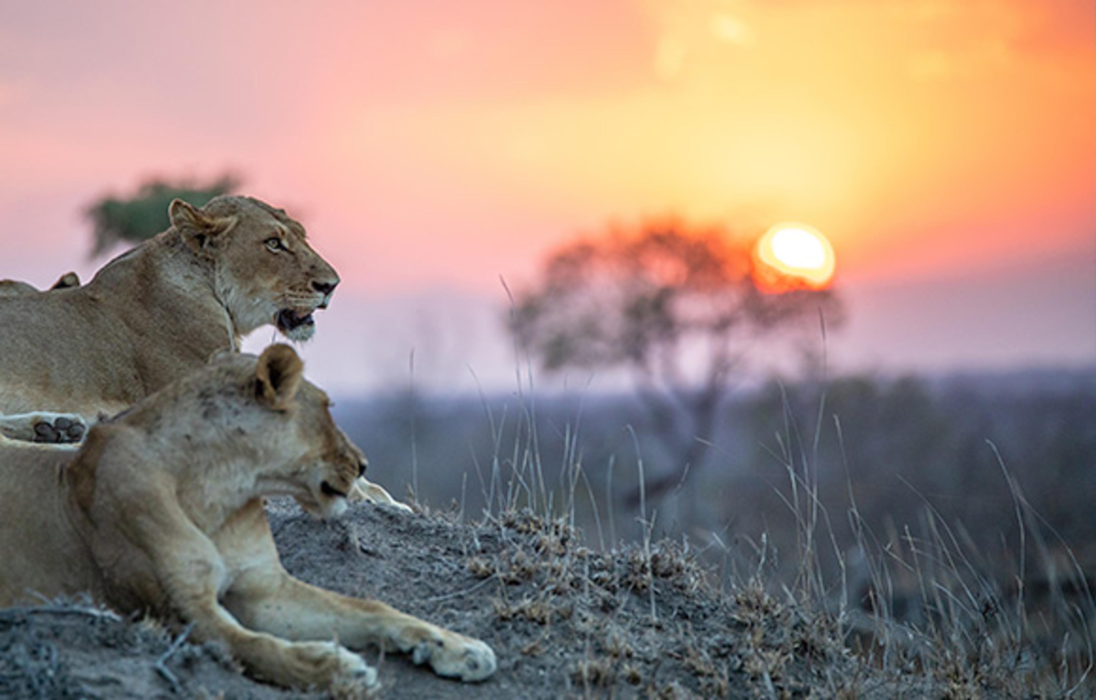Kruger National Park