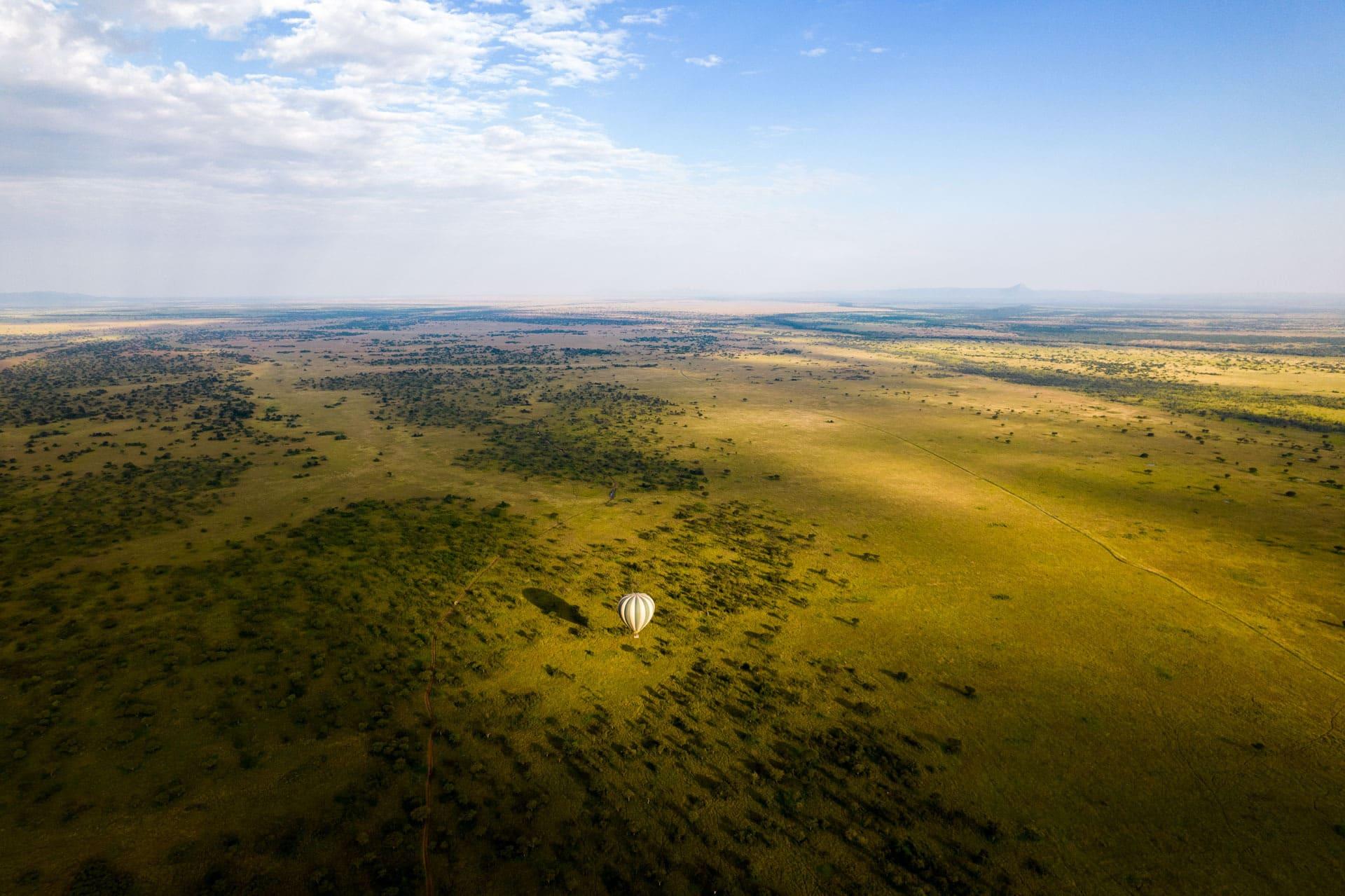 hot-air-balloon-rhino-africa-singita-sabora.jpeg