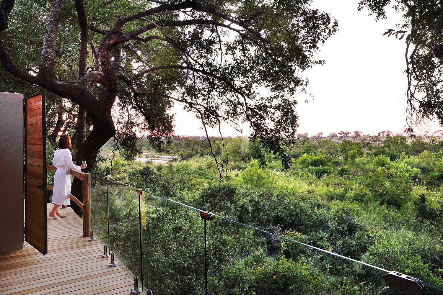 Relax in the heart of the African wild. Credit: Londolozi