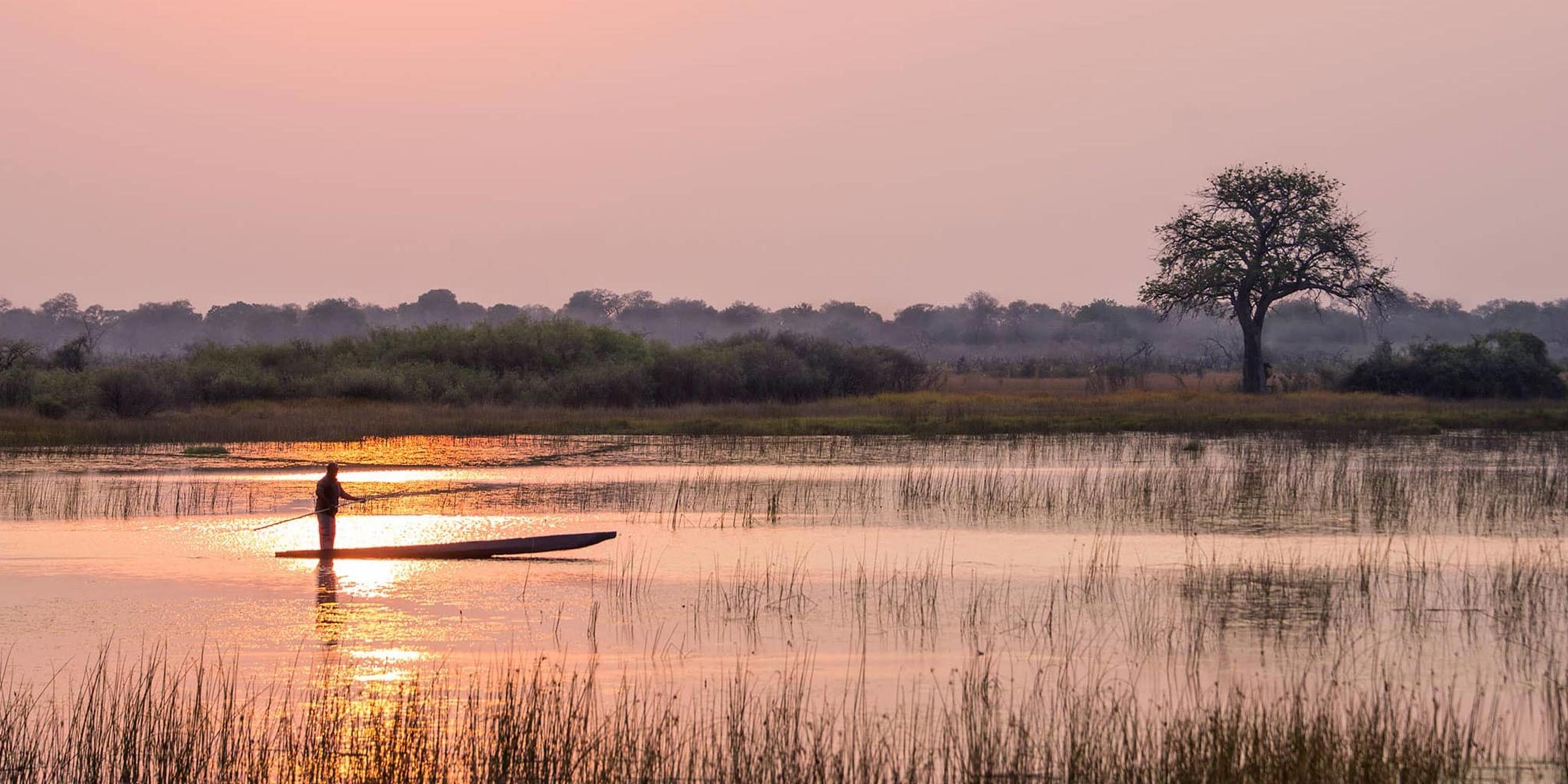 3 Nights in Moremi and Okavango Region