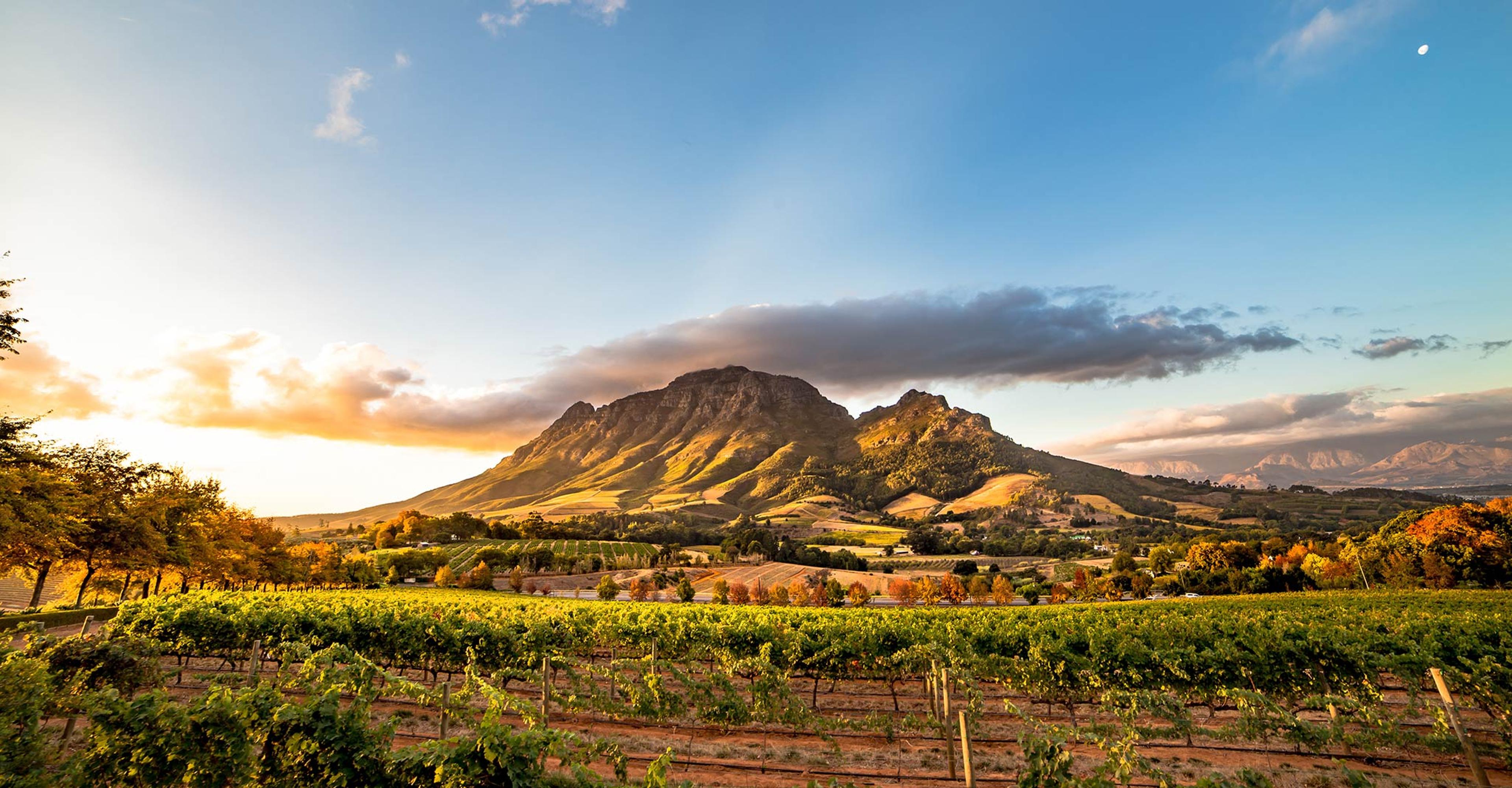 2 Nights in the Cape Winelands | South Africa