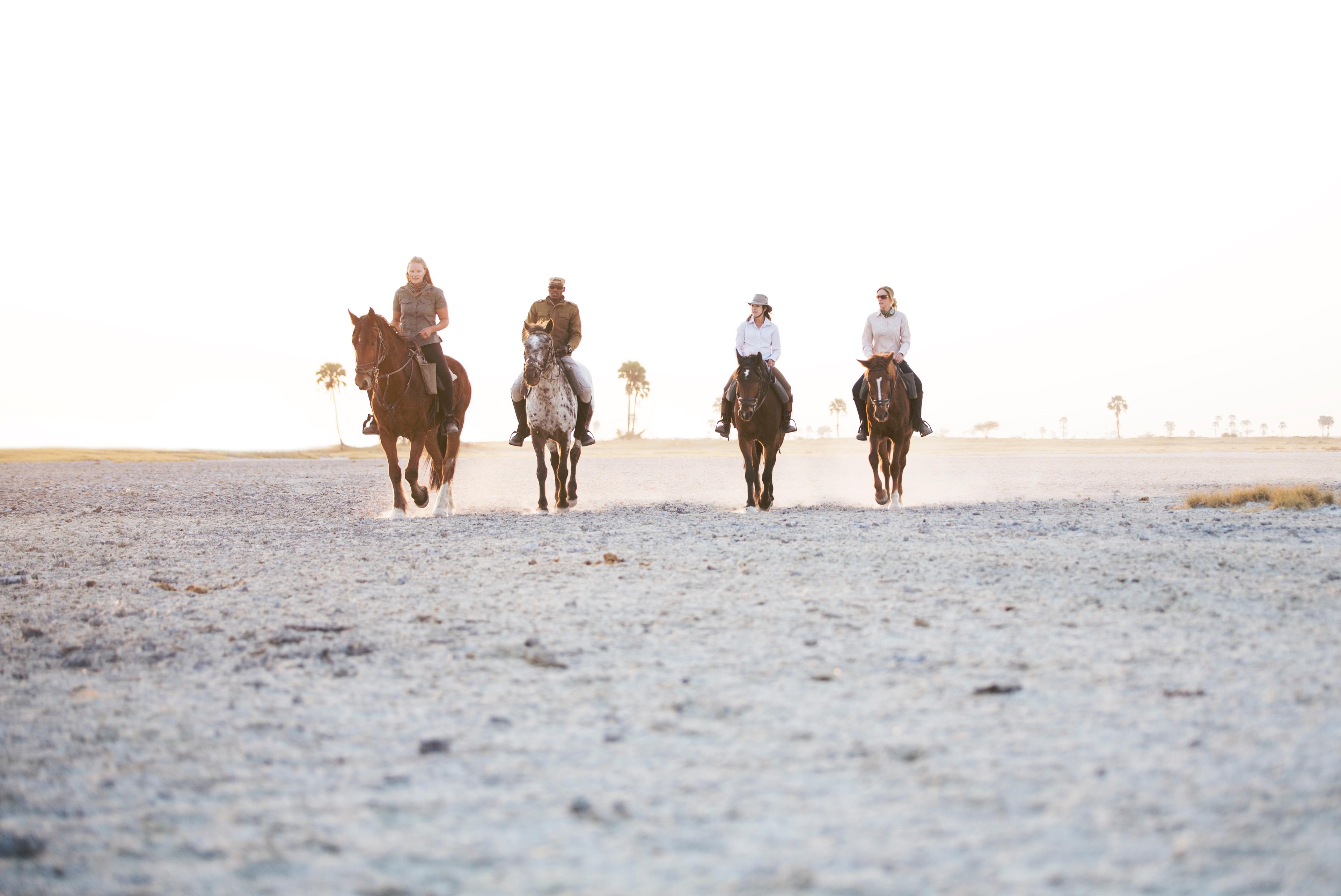 horses-jacks-camp-botswana-L1B0981.1.jpg