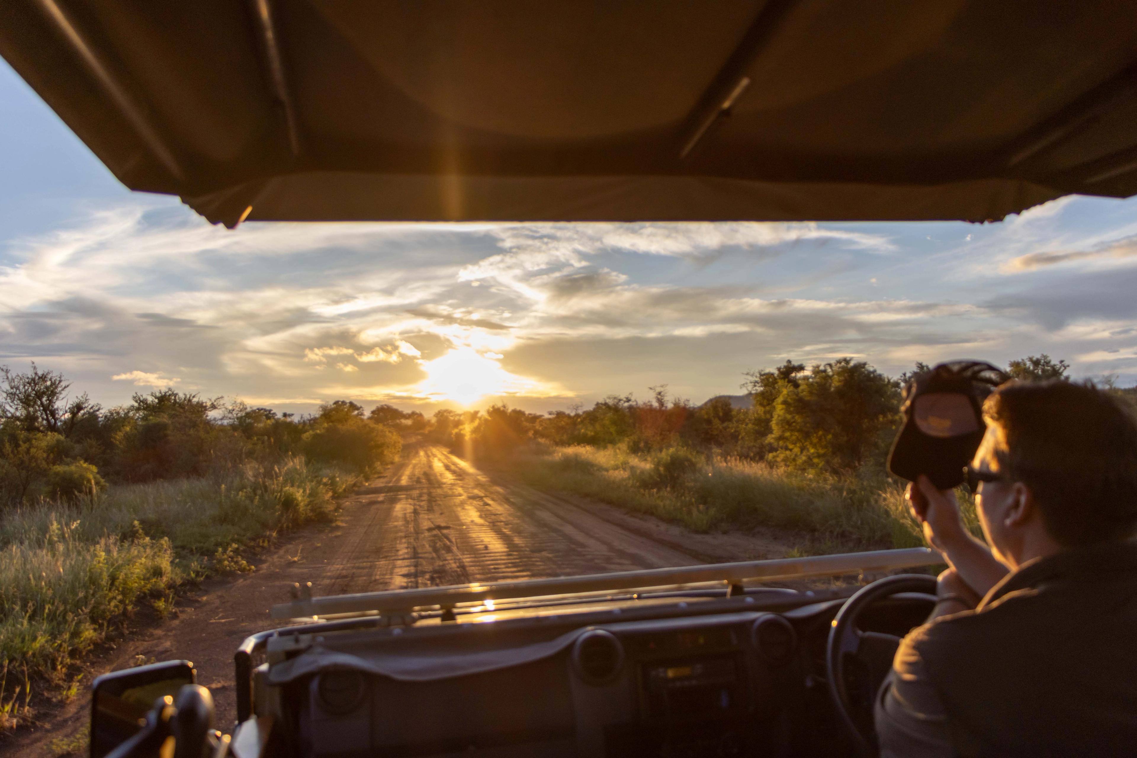 Reigning Malaria-Free Safaris in South Africa
