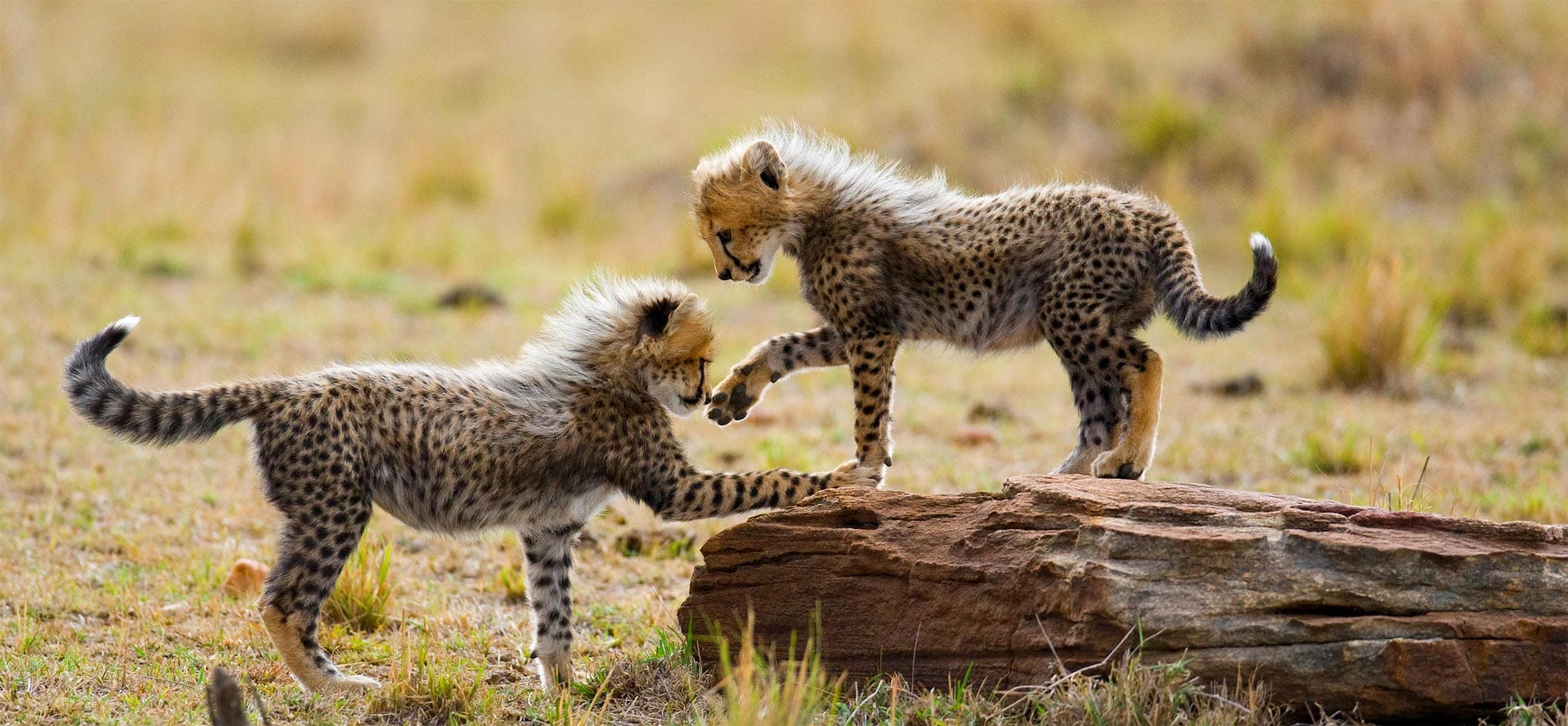 SHINY AWARDS WE'RE PROUD OF