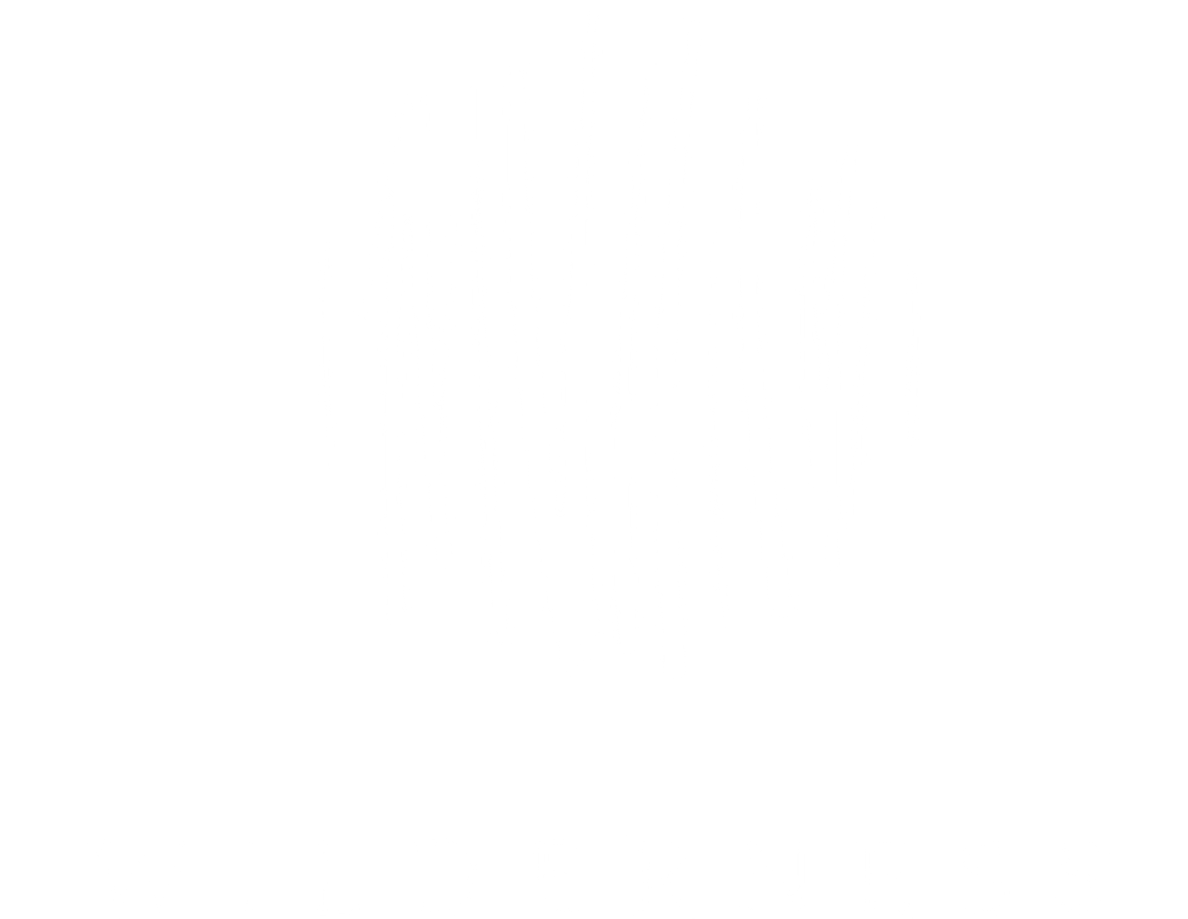 Wilderness Safaris