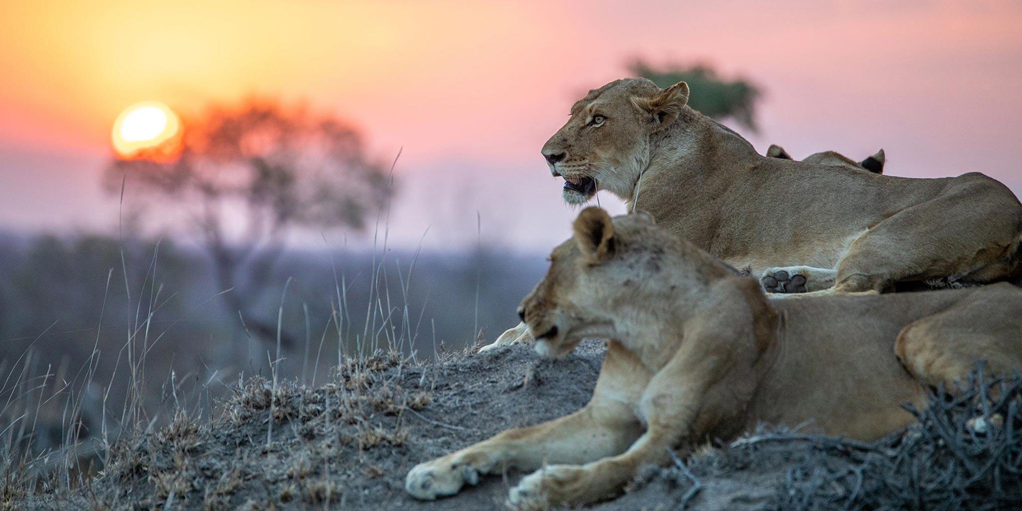 3 Nights in Kruger National Park