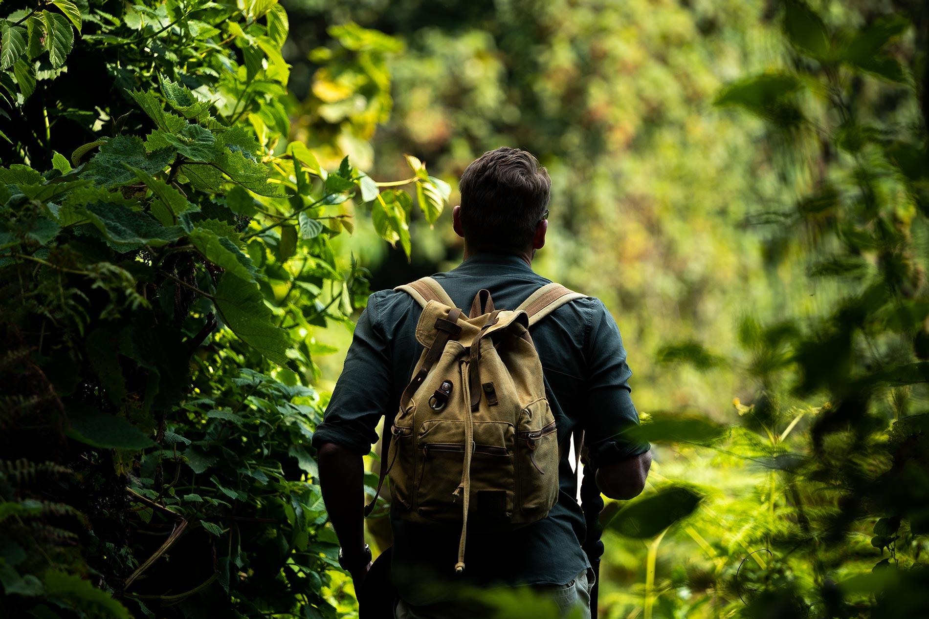 Top 6 Gay-Friendly Gorilla Trekking Accommodations