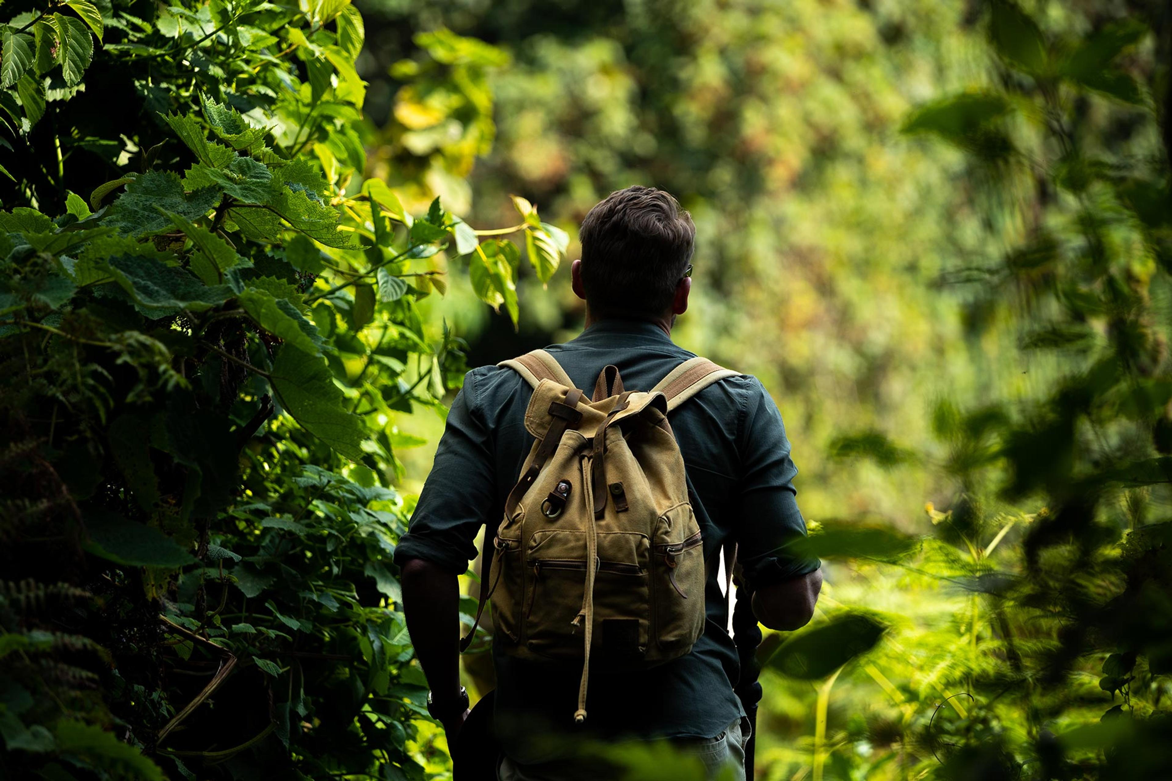 Top 6 Gay-Friendly Gorilla Trekking Accommodations