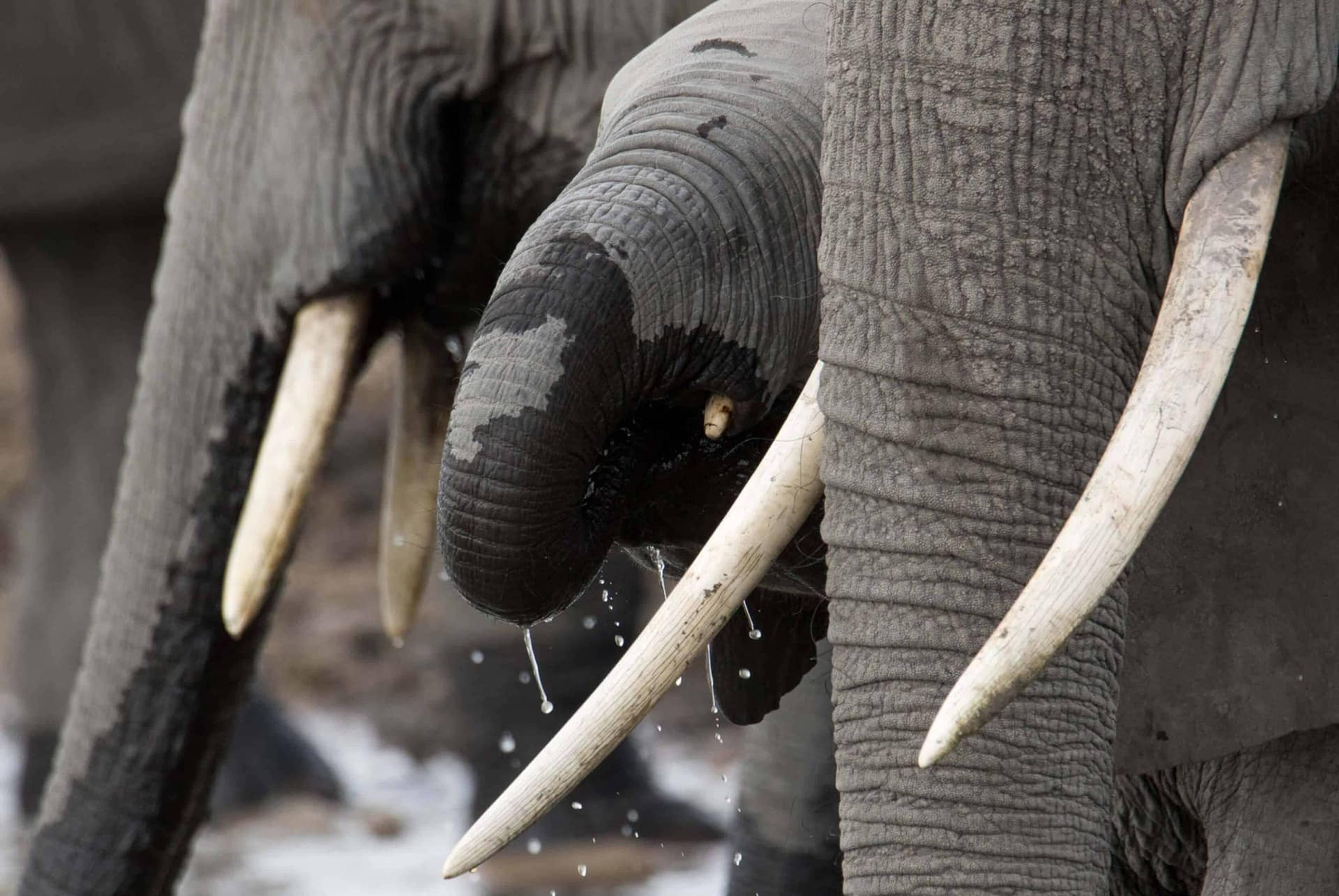 Why Book With Us Background