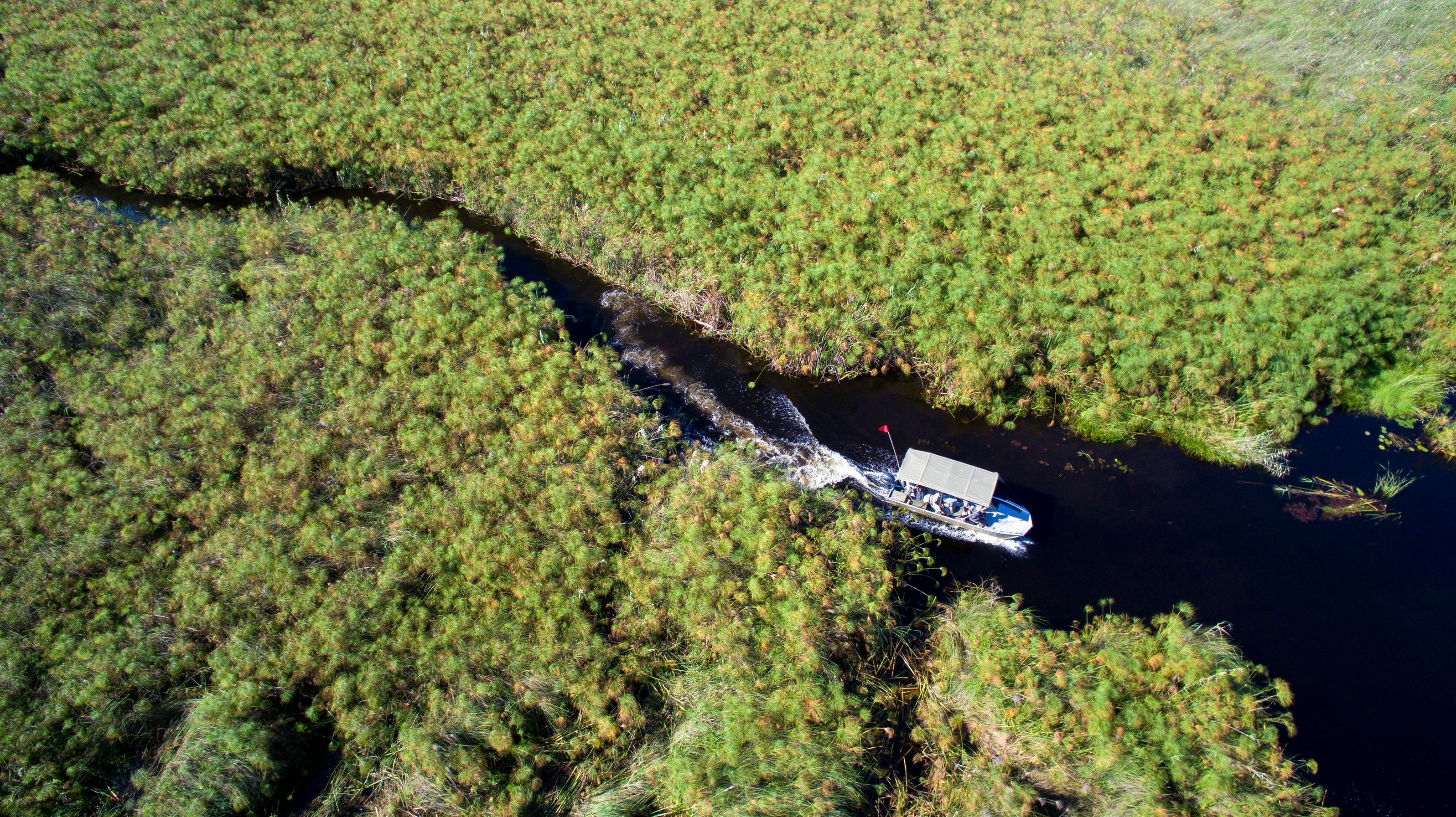 When Is the Best Time to Visit Botswana?