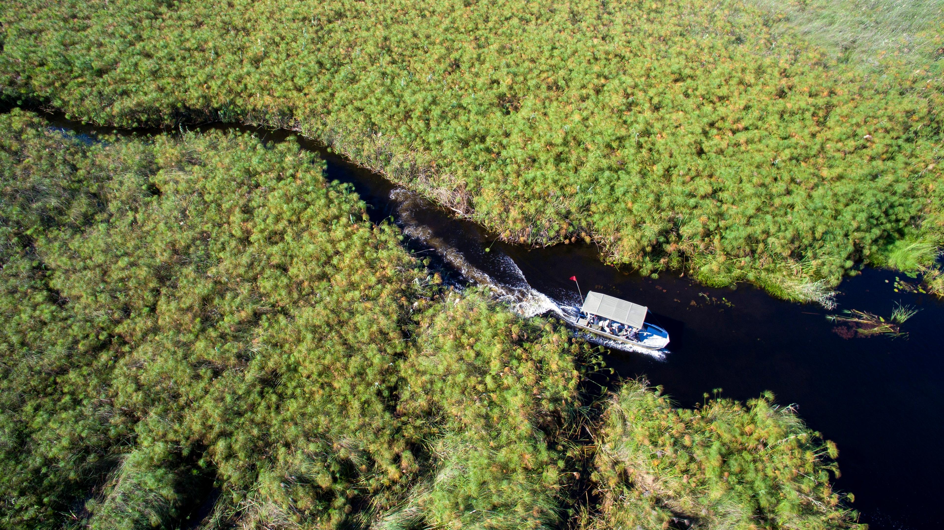 When Is the Best Time to Visit Botswana?