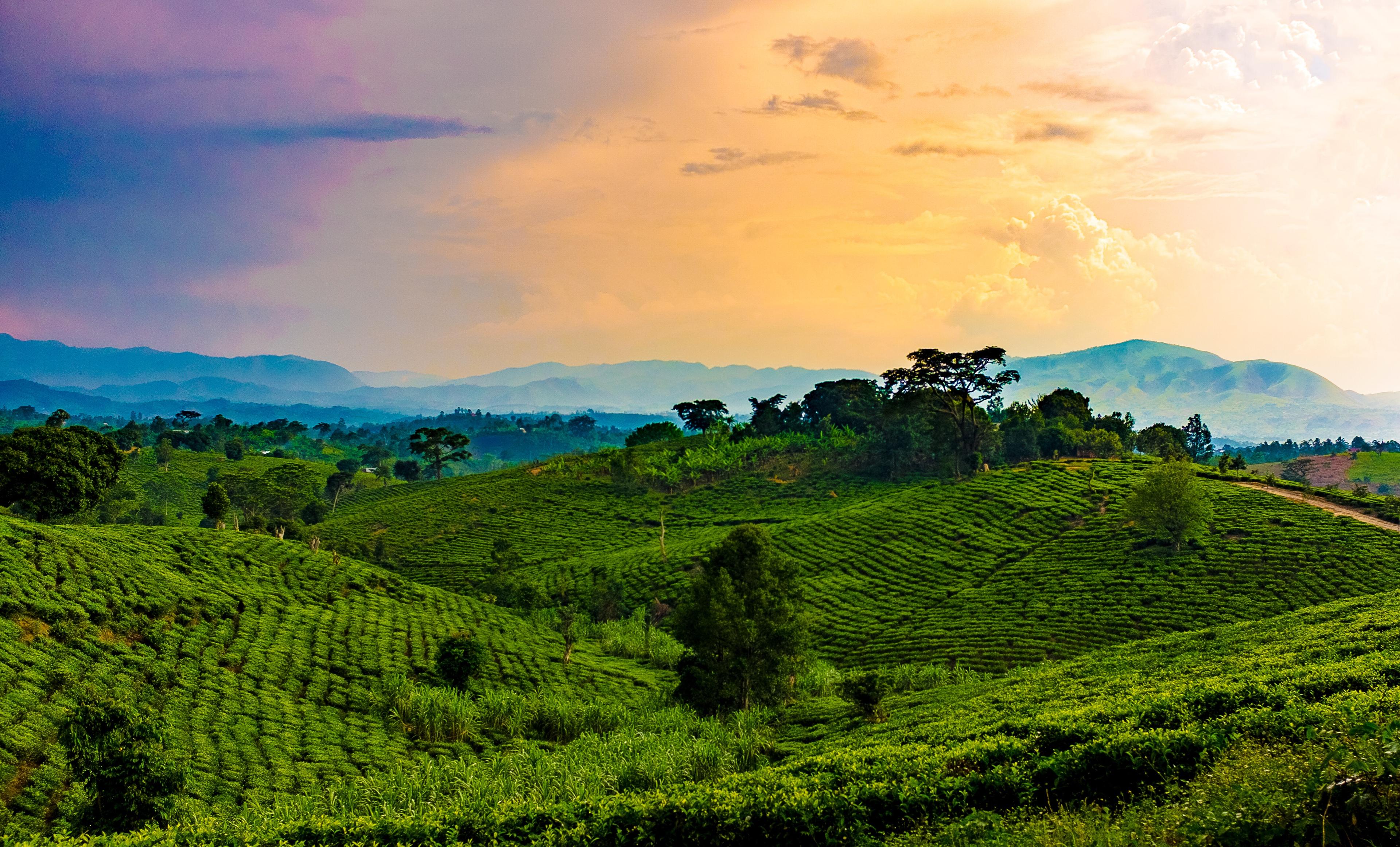 Top 5 Fab Things to Do in Rwanda