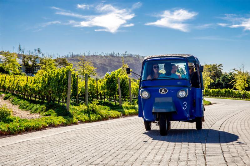 tuk-tuk-franschhoek-insideguide-0-0-0-0-1705495060.jpg