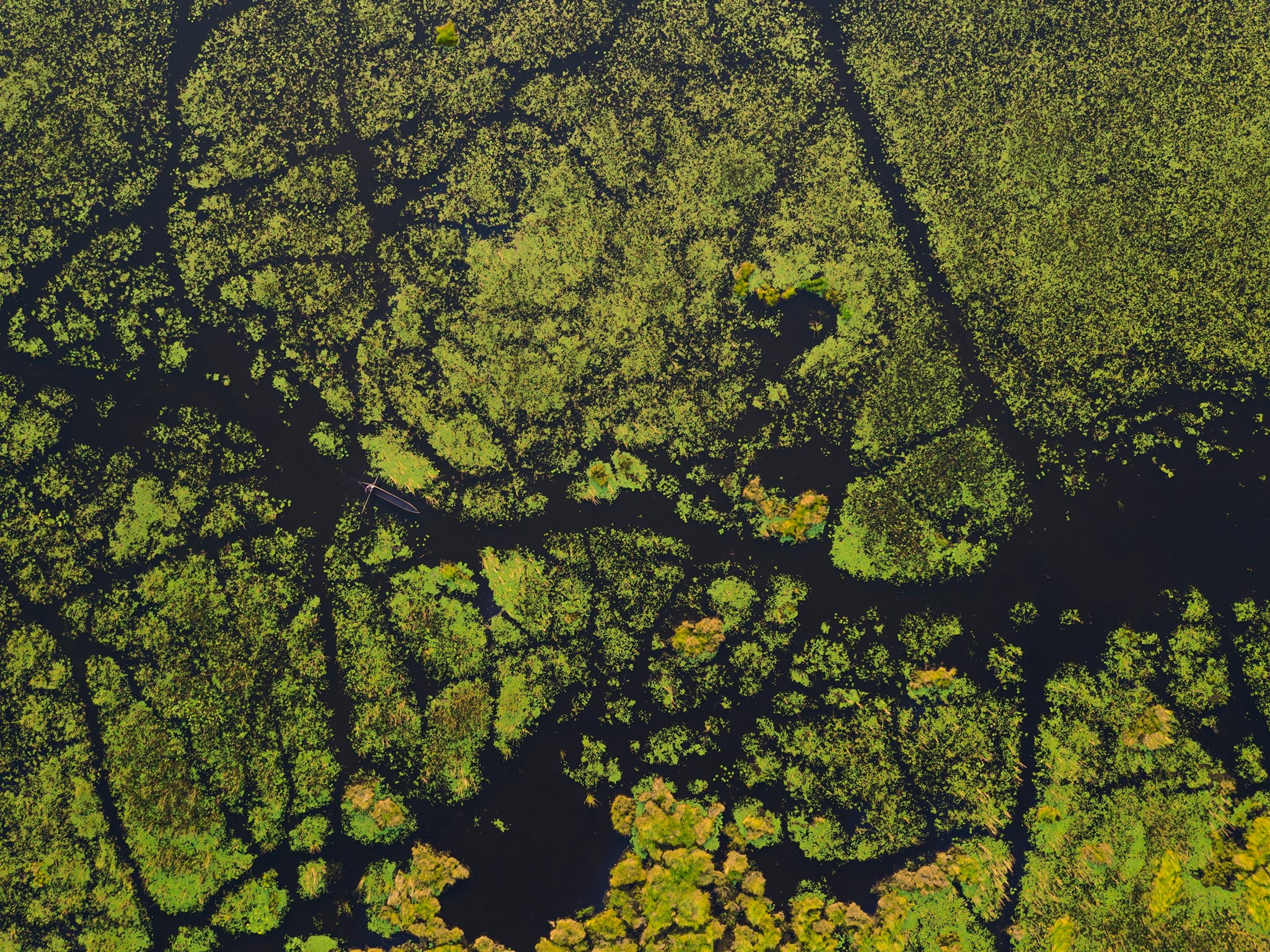 mokoro-ride-drone-vumbura-Plains-Okavango-Delta-Botswana-0064.jpg