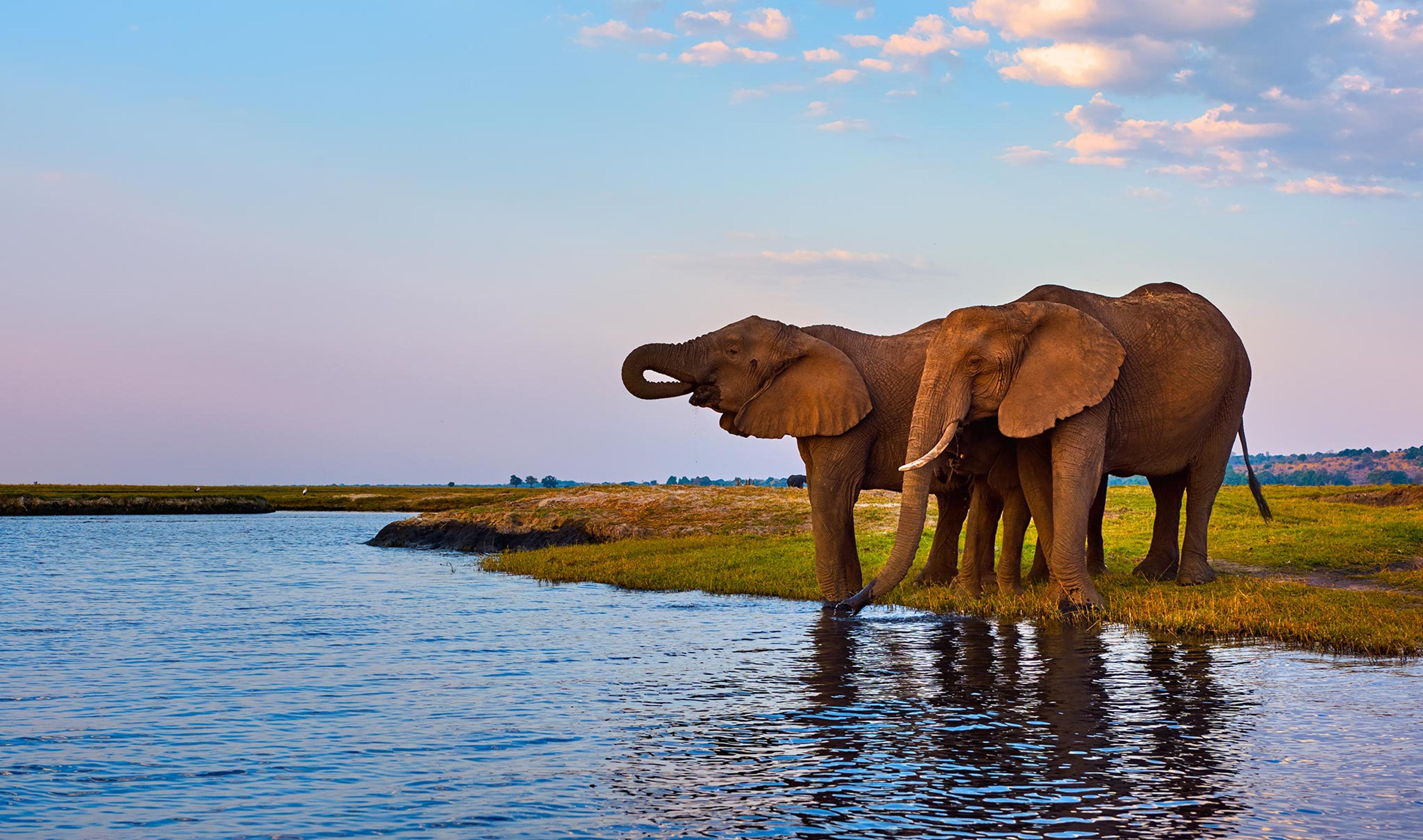 Gay-Friendly Travel: Okavango Delta in Botswana