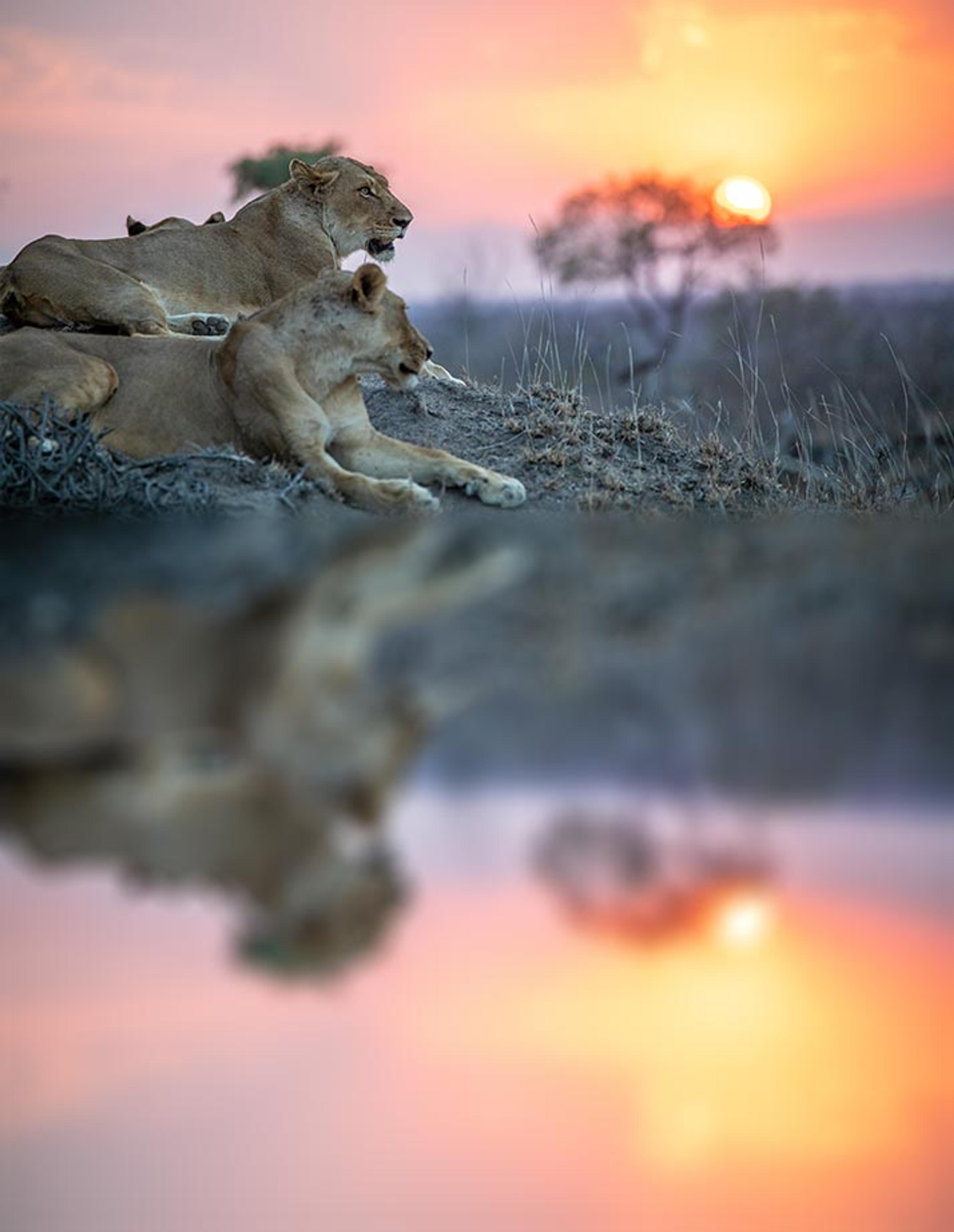 Kruger National Park