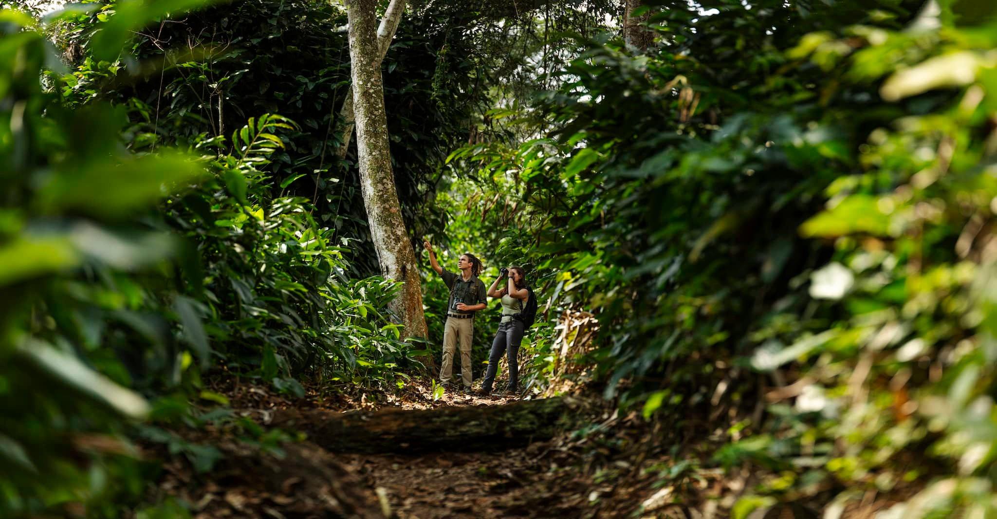 Be A Jetsetter and take off to the Congo