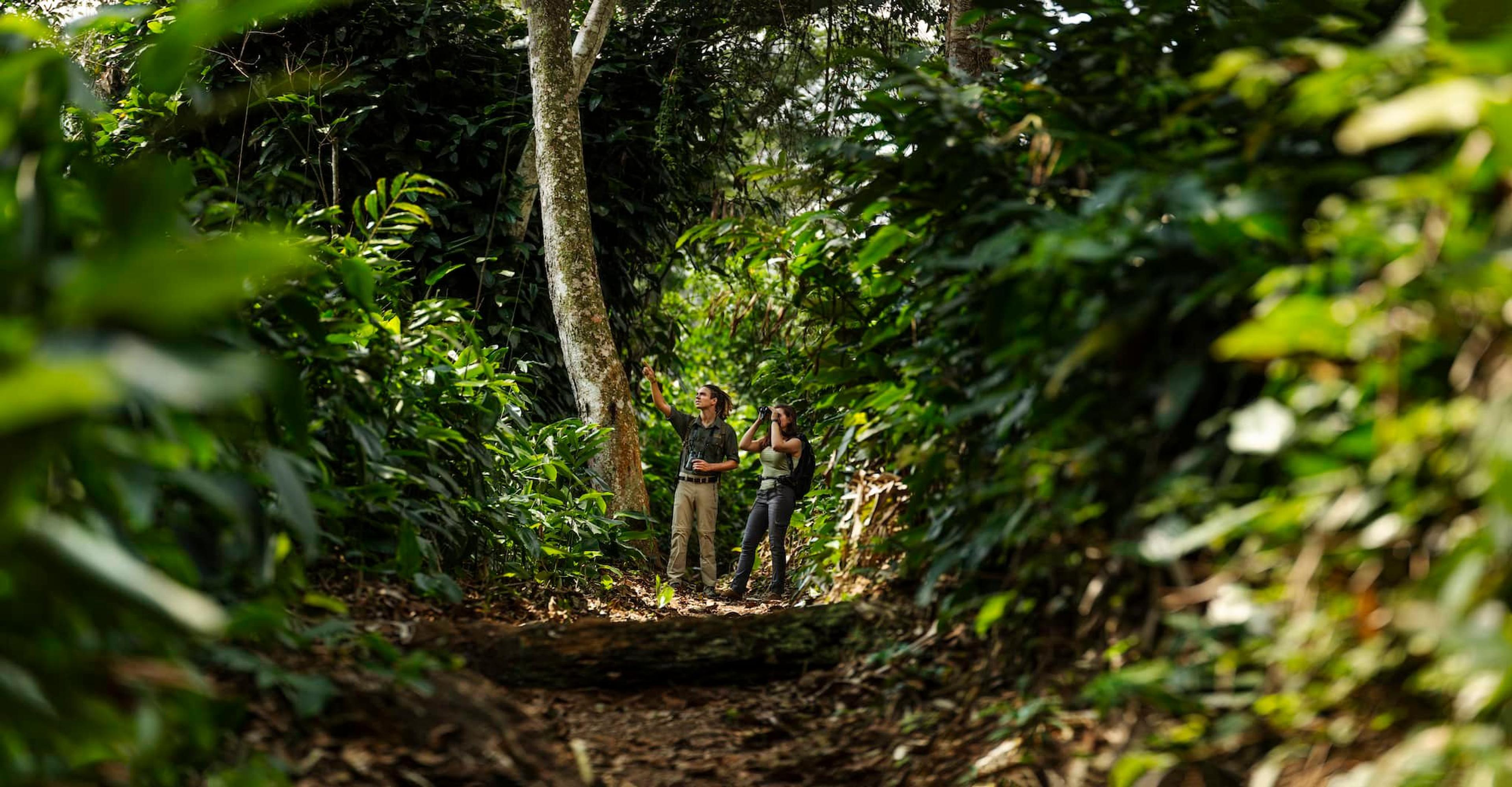 Be A Jetsetter and take off to the Congo