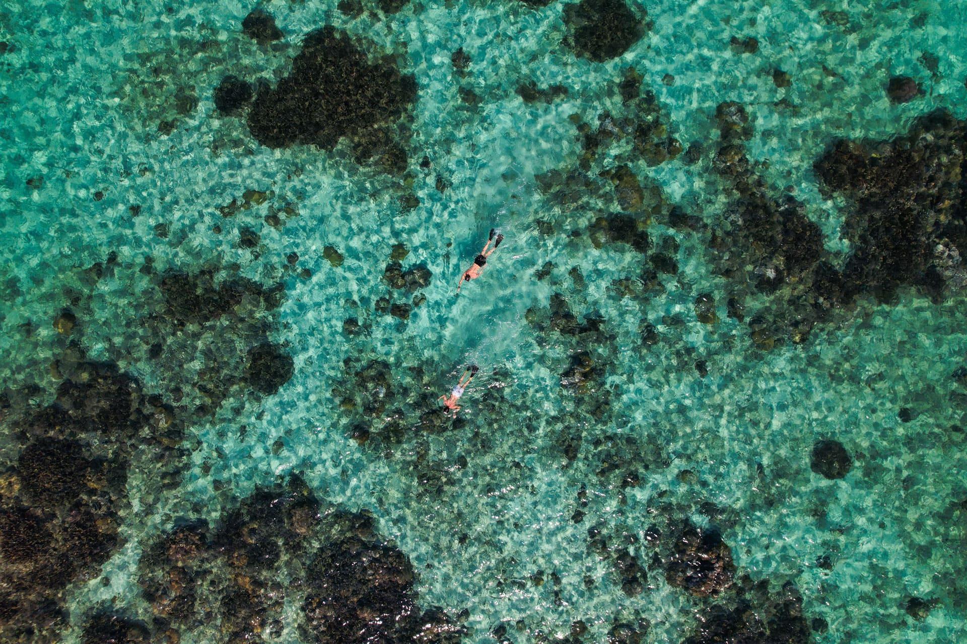 Bush and Beach Safari Combinations in Africa