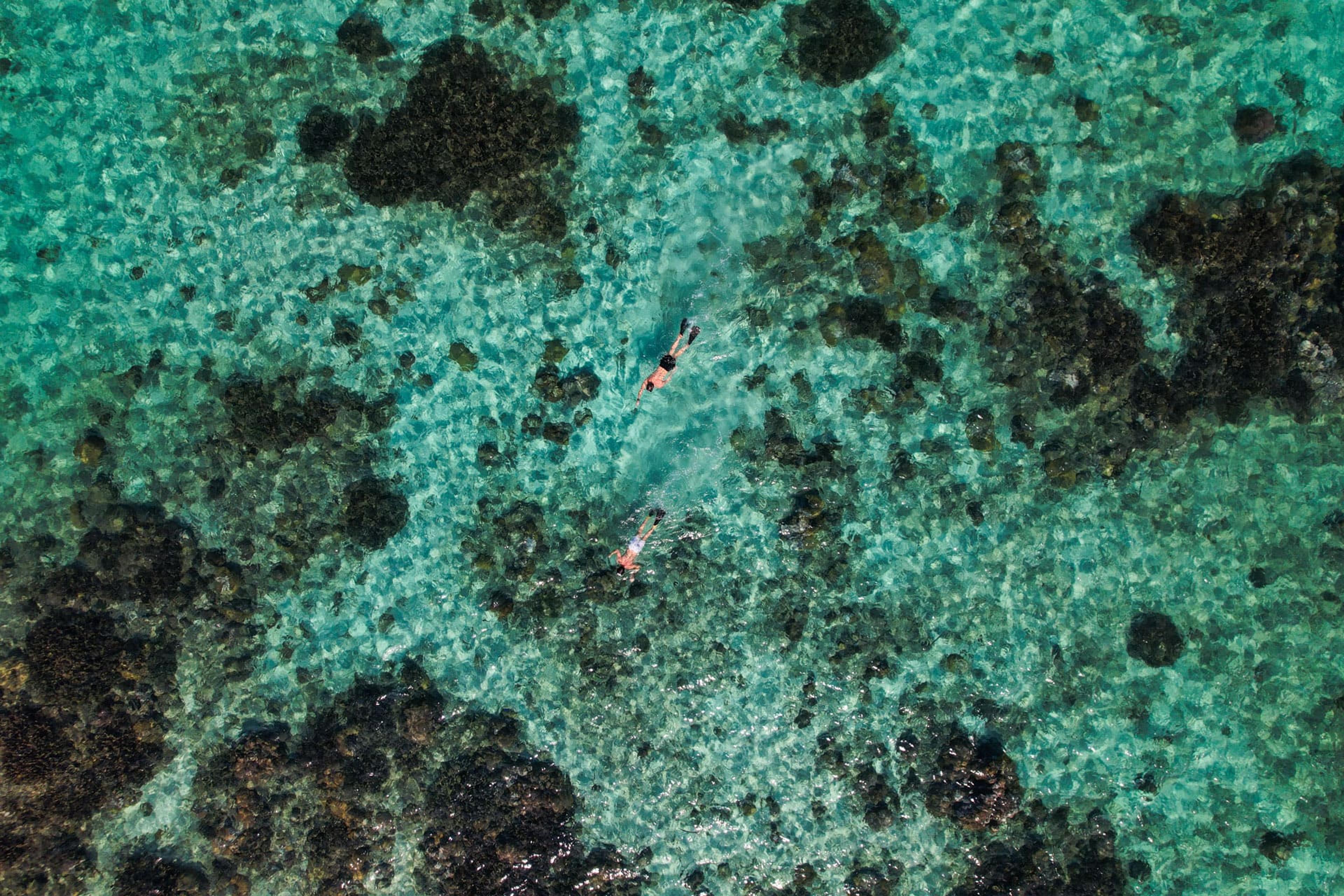 Bush and Beach Safari Combinations in Africa