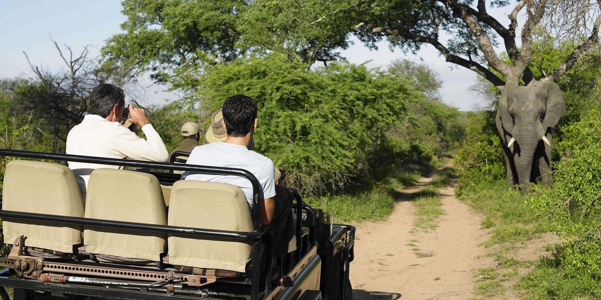 Best Gay Group Safari in Africa