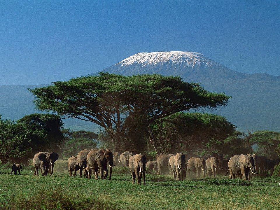 East Africa - Kilimanjaro.jpg
