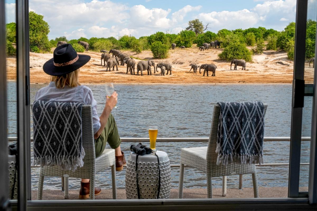 Why You Simply Can’t Miss a Chobe National Park Safari