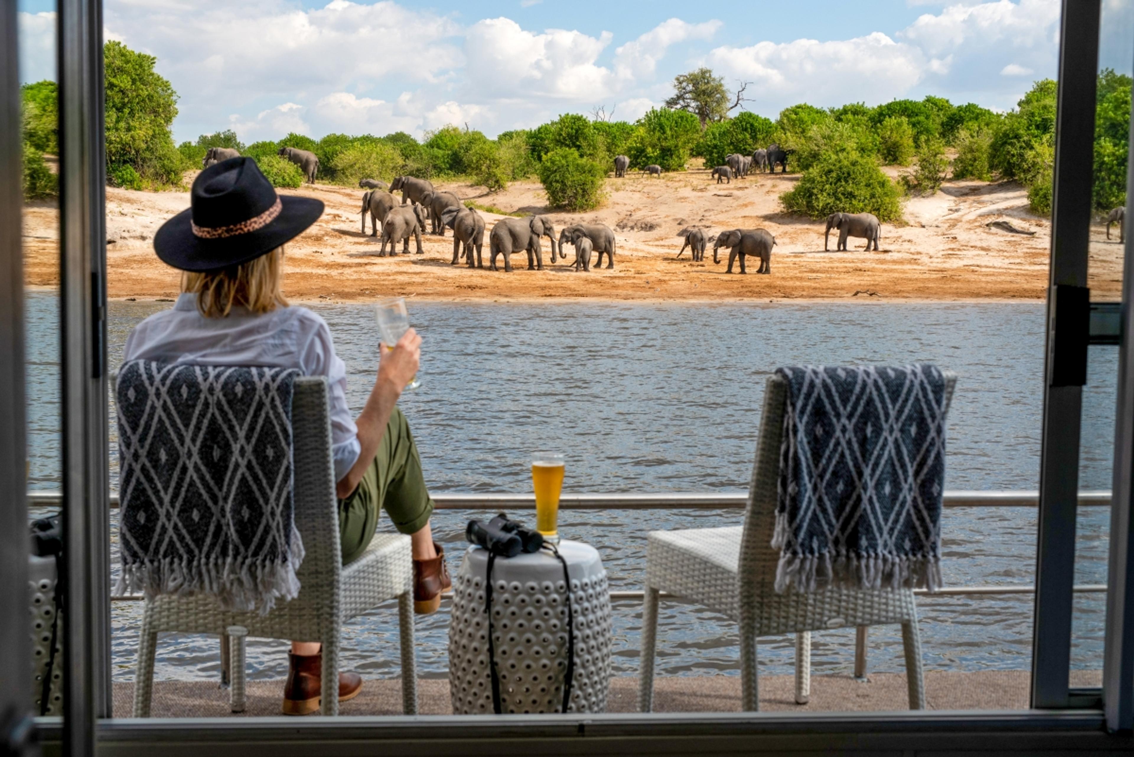 Why You Simply Can’t Miss a Chobe National Park Safari