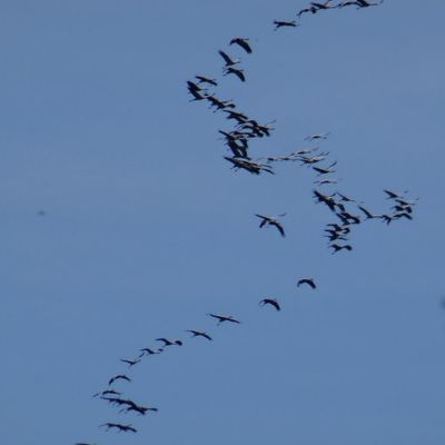 Ouvrir ses ailes et voir le ciel !