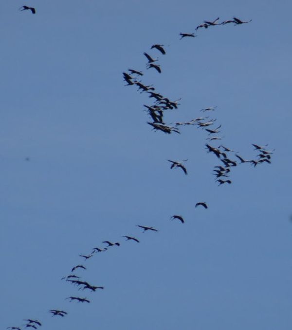Ouvrir ses ailes et voir le ciel !