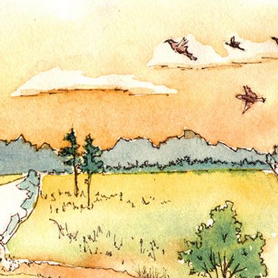 l'oeuf cosmique vue de l'artiste