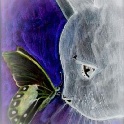 zhuang zi papillon ou zhuang zi